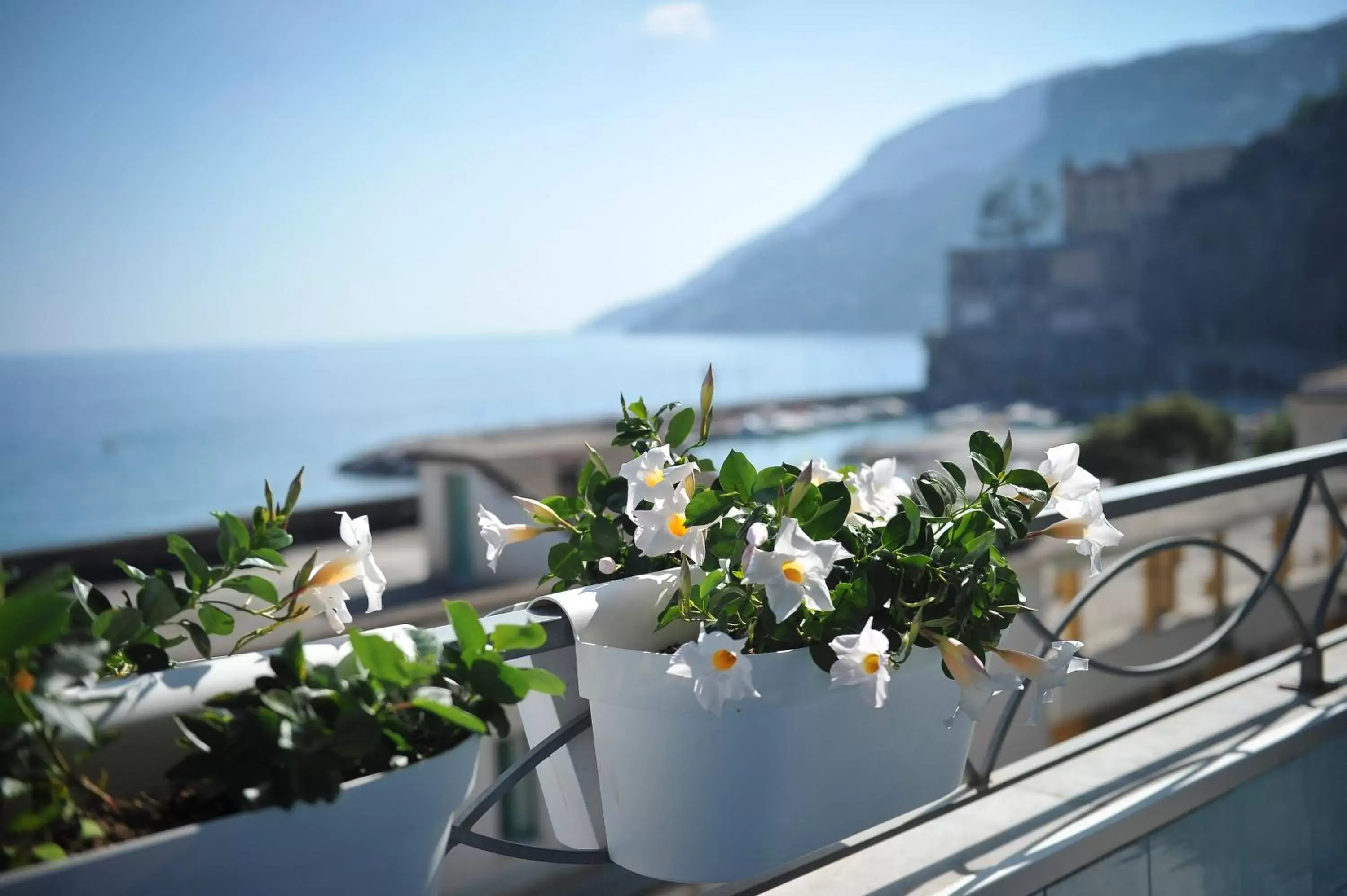 Balcony/Terrace in Residence Panoramic