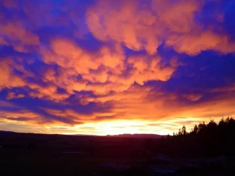 Garden view in Hokonui Bed & Breakfast