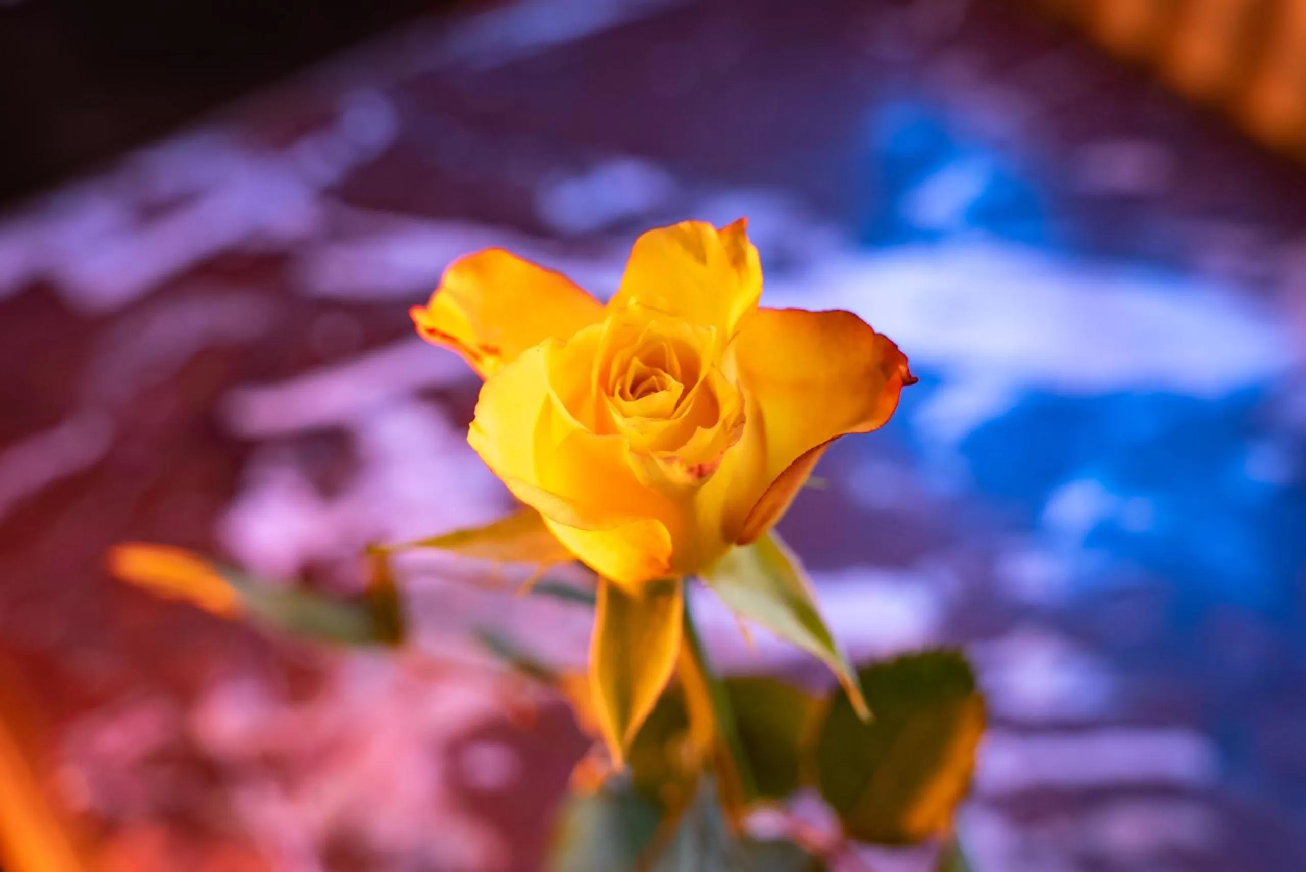 Bedroom in Hotel Haase