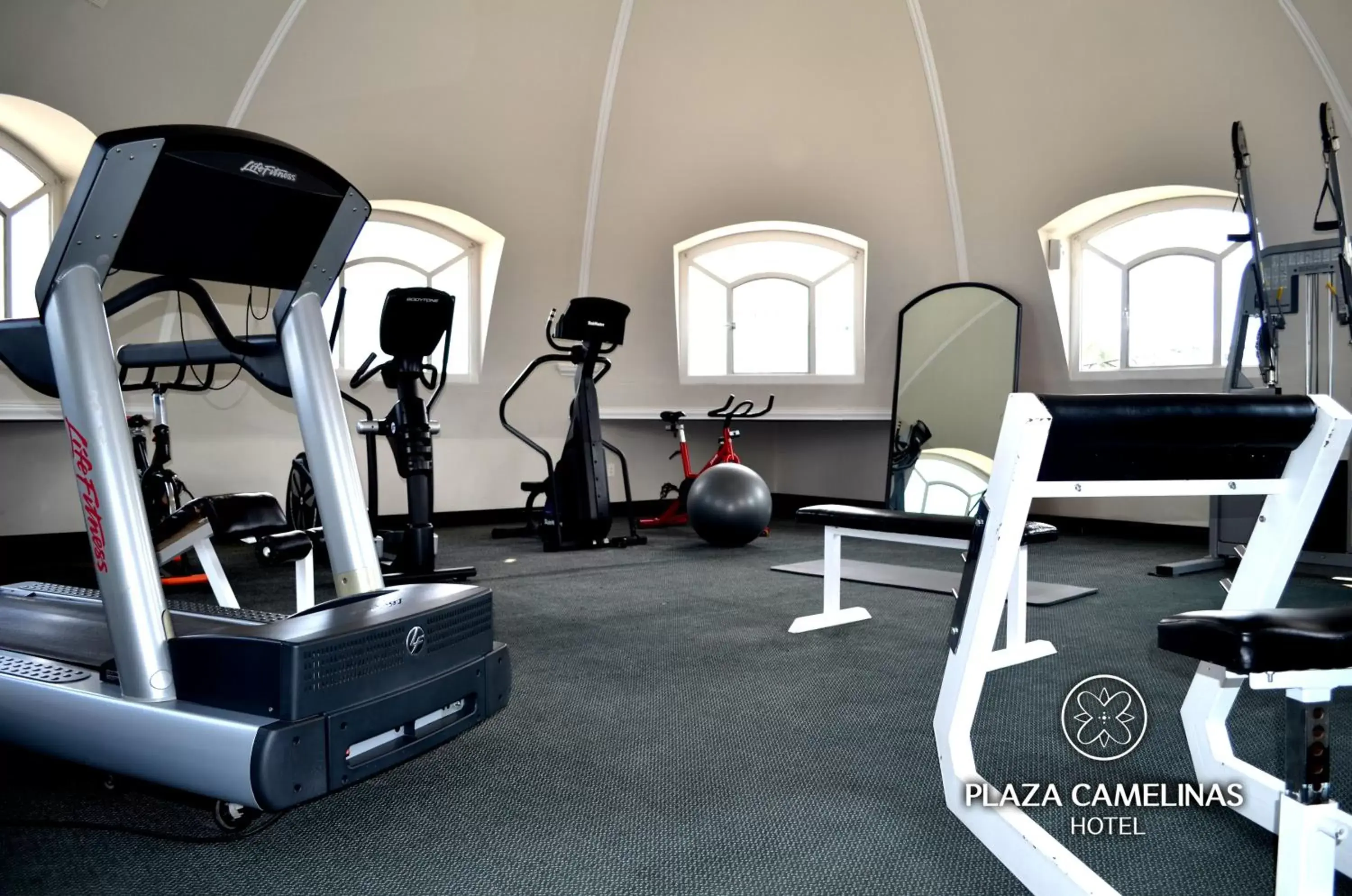 Fitness centre/facilities, Fitness Center/Facilities in Plaza Camelinas Hotel