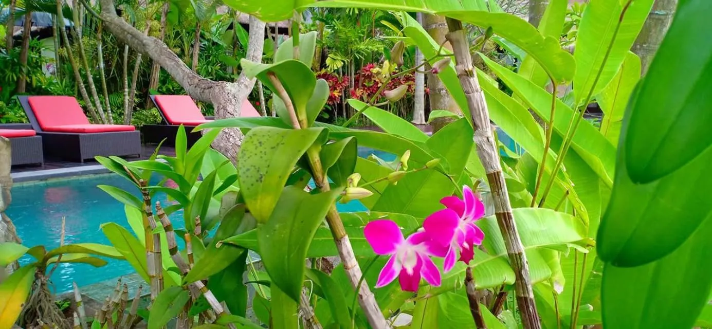 Garden in Bali Harmony Villa