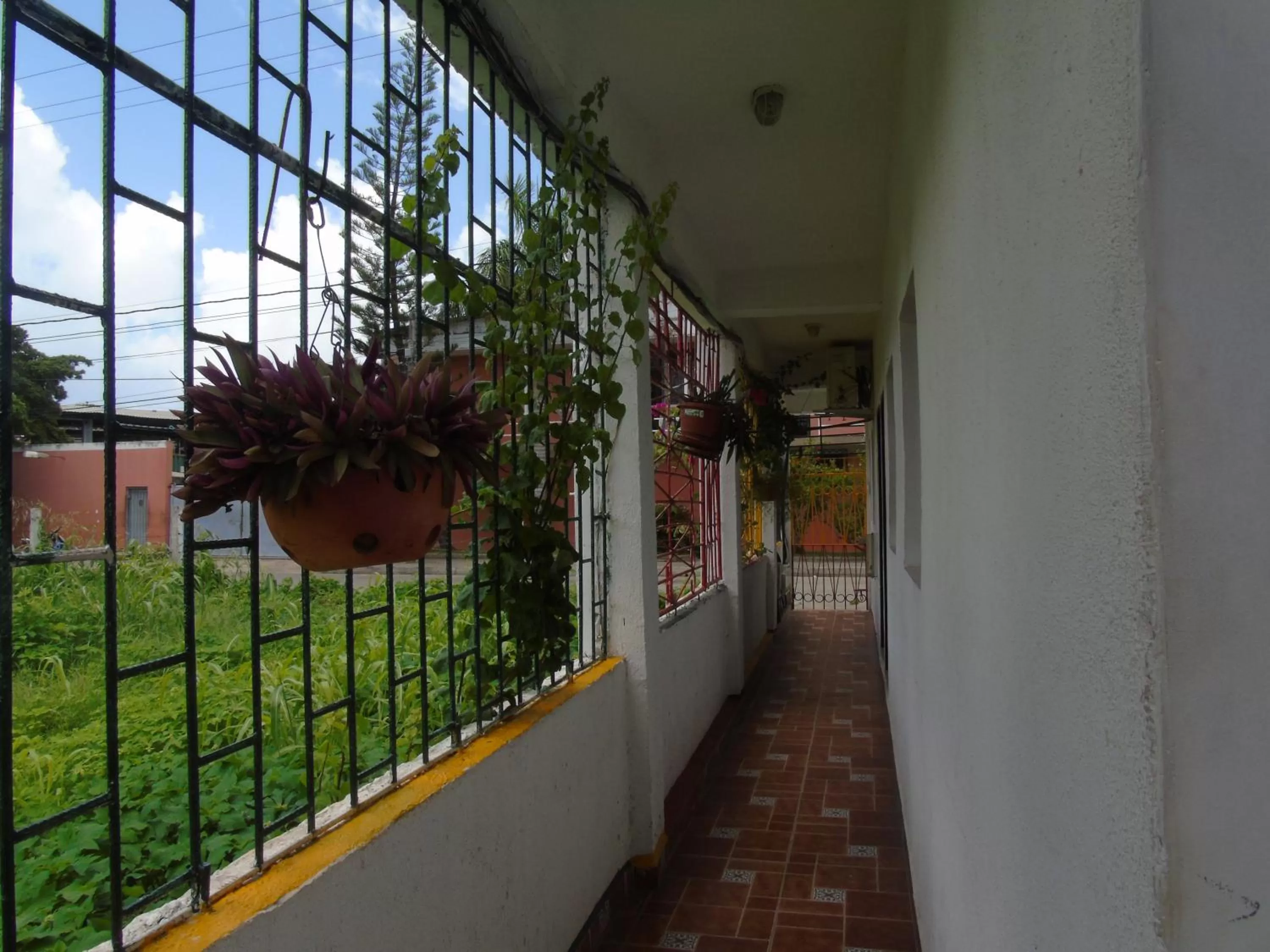 Off site in Posada Miss Joyce House