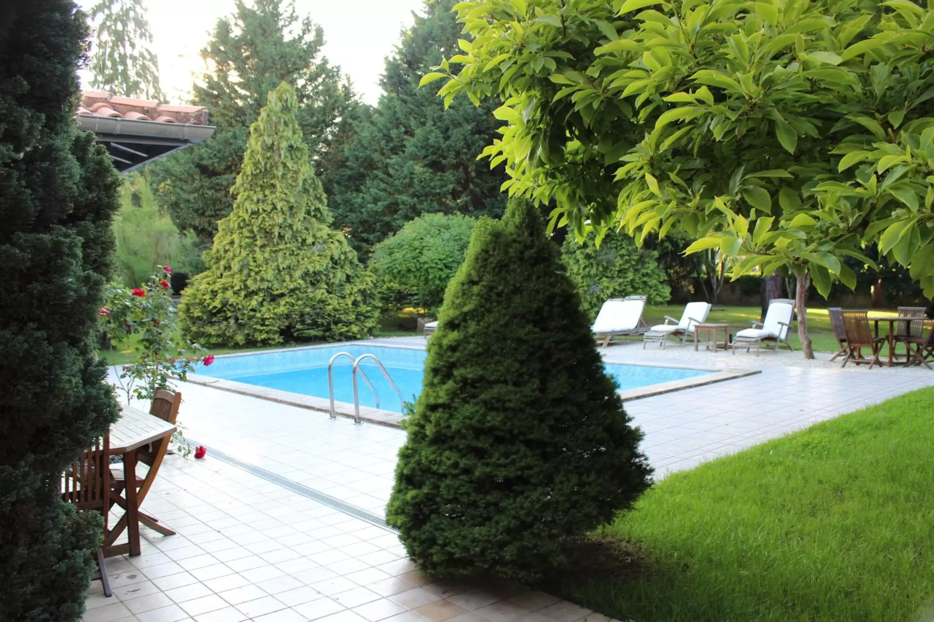 Swimming Pool in Château la Moune