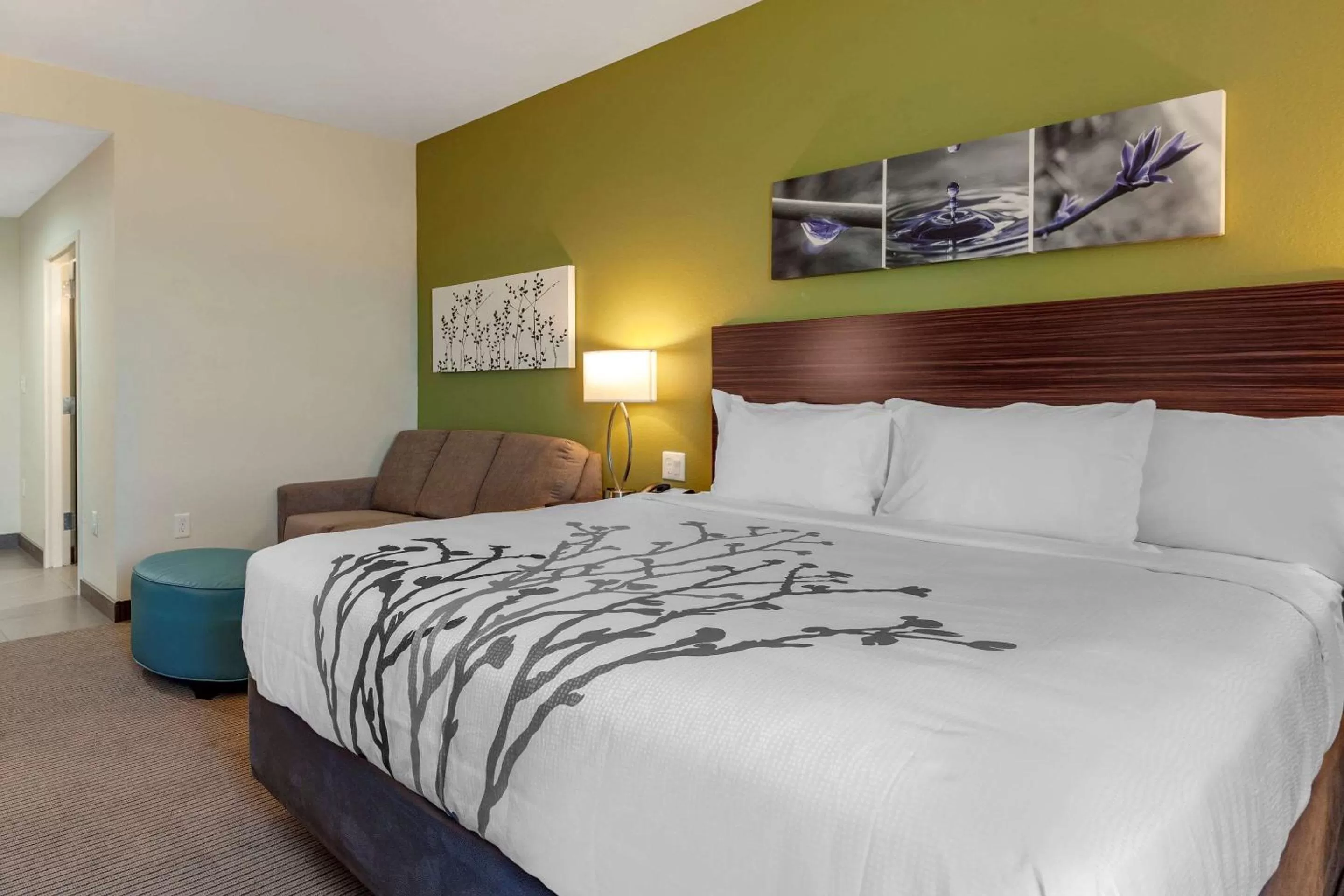 Photo of the whole room in Sleep Inn & Suites Waller