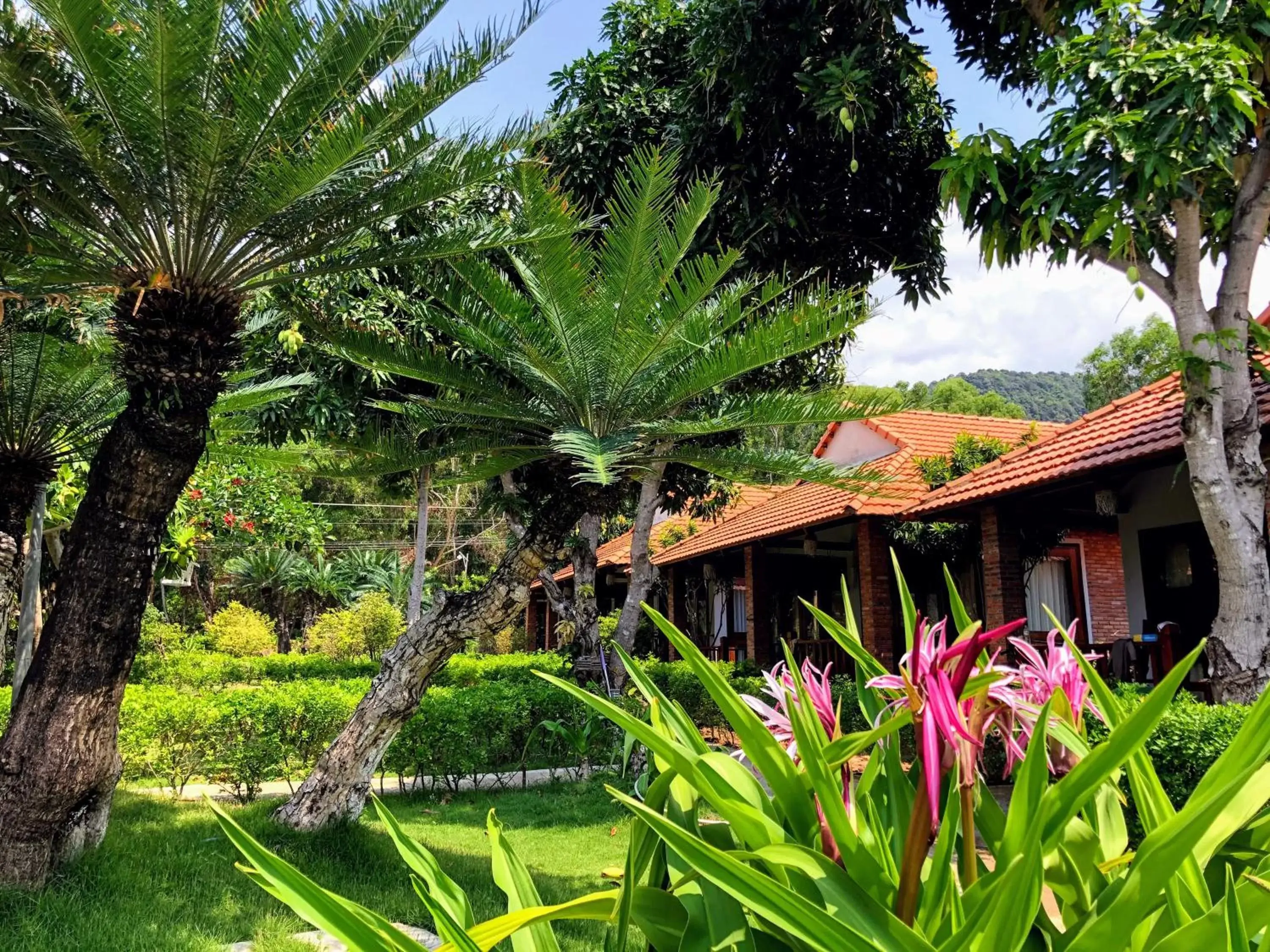 Property Building in Wildland Resort