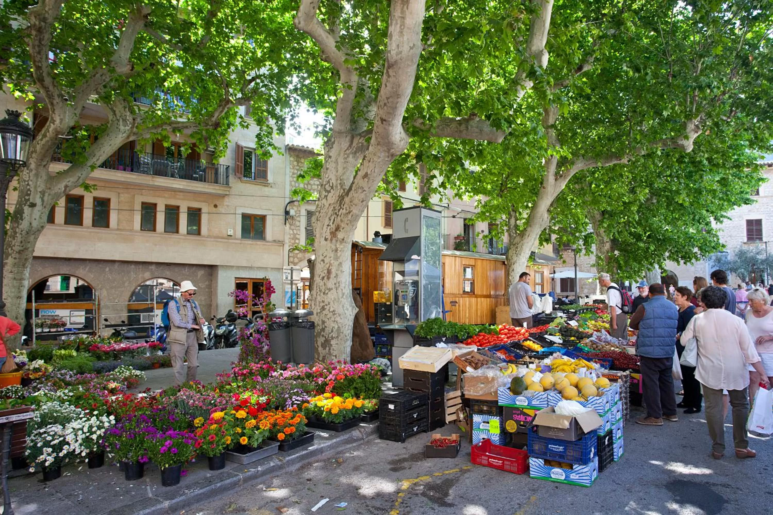 Can Moragues de Soller