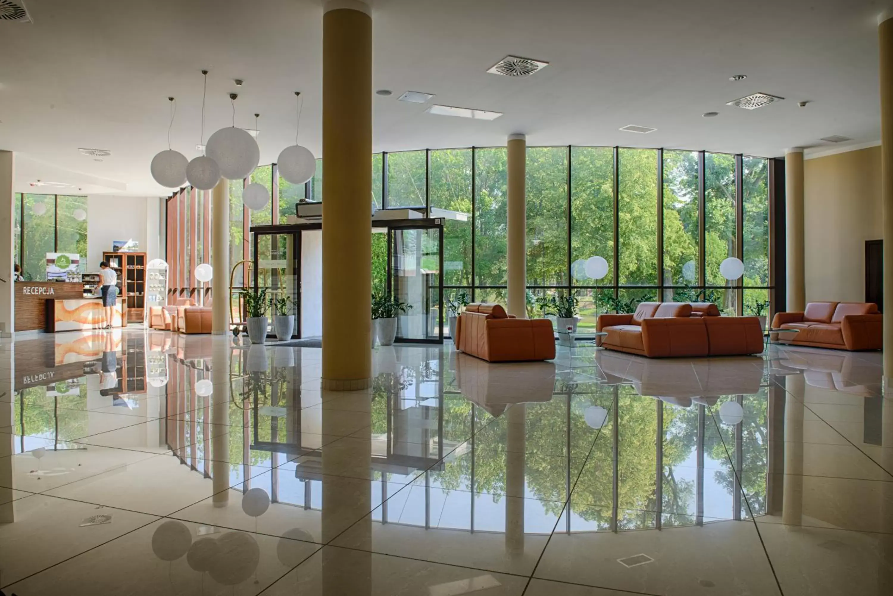 Lobby or reception, Lobby/Reception in Hotel Trzebnica