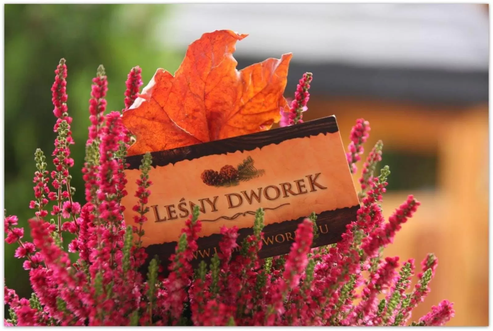 Leśny Dworek Zakopane