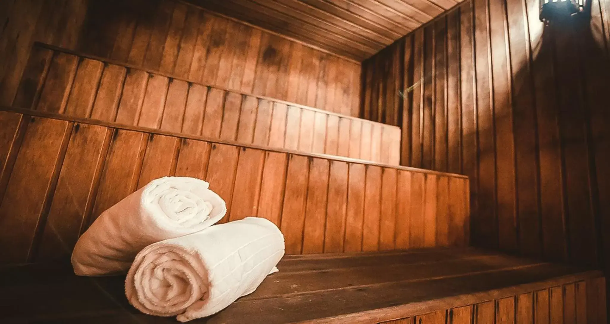 Sauna in Plaza Inn American Loft