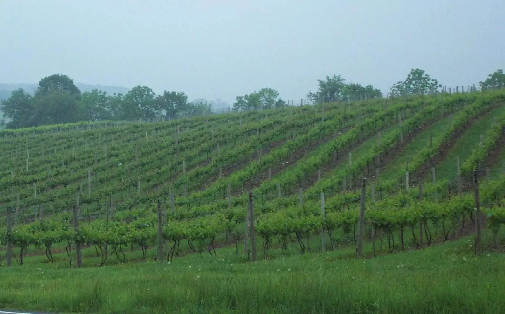 Property building in Hampton Inn Danville Property building in Hampton Inn Danville