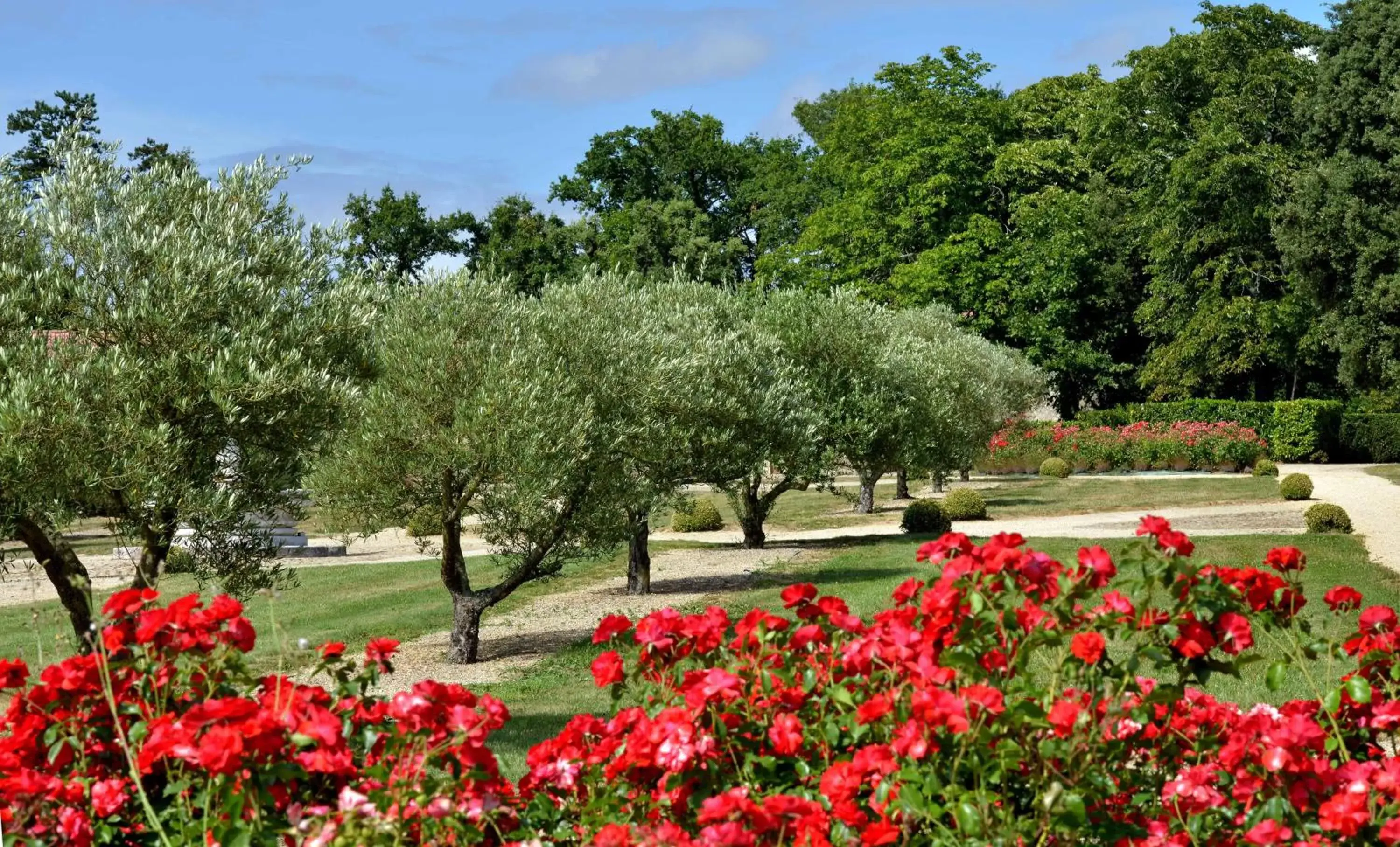 Garden view, Garden in B&B Domaine de La Corbe