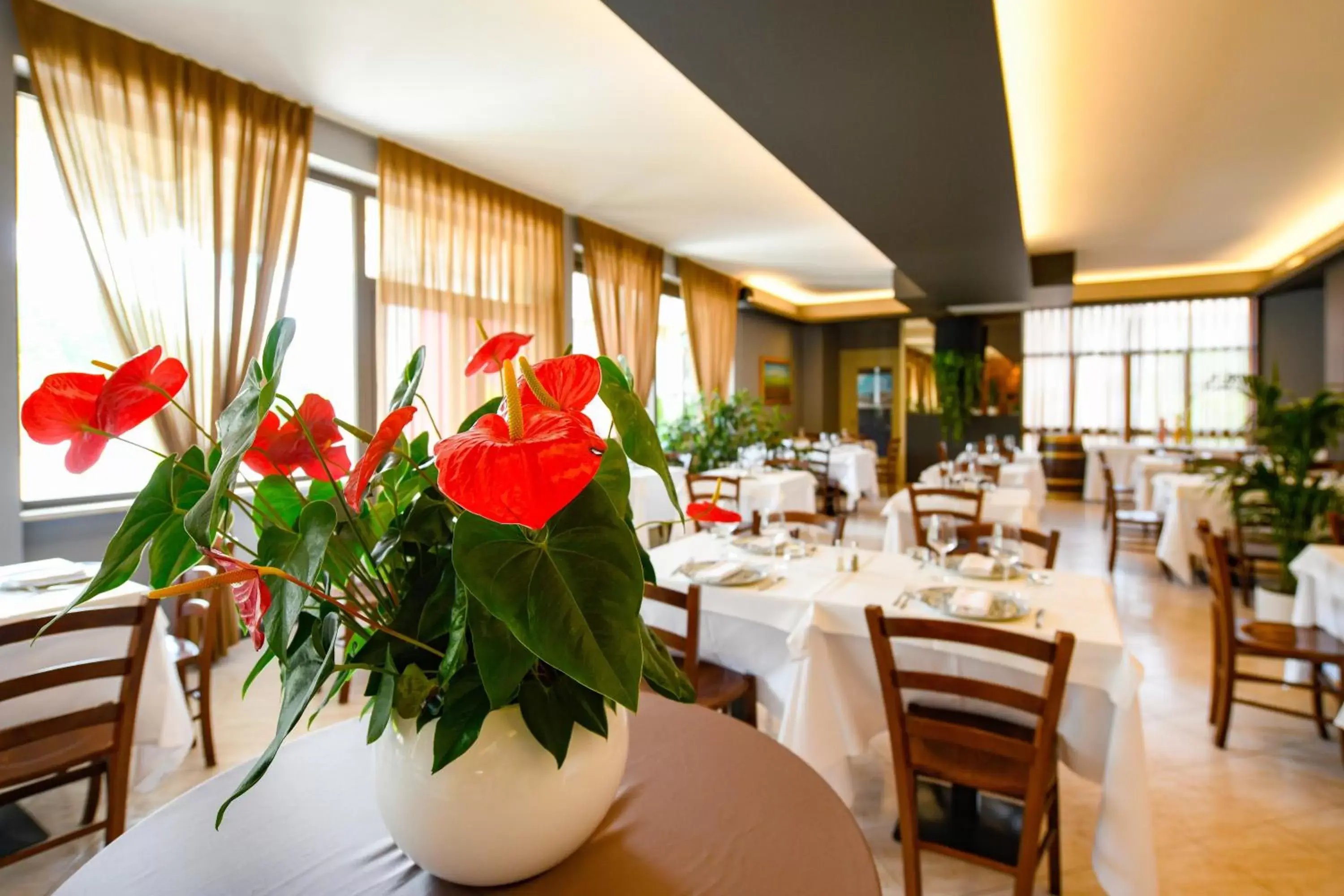 Restaurant/Places to Eat in Albergo Locanda Primavera