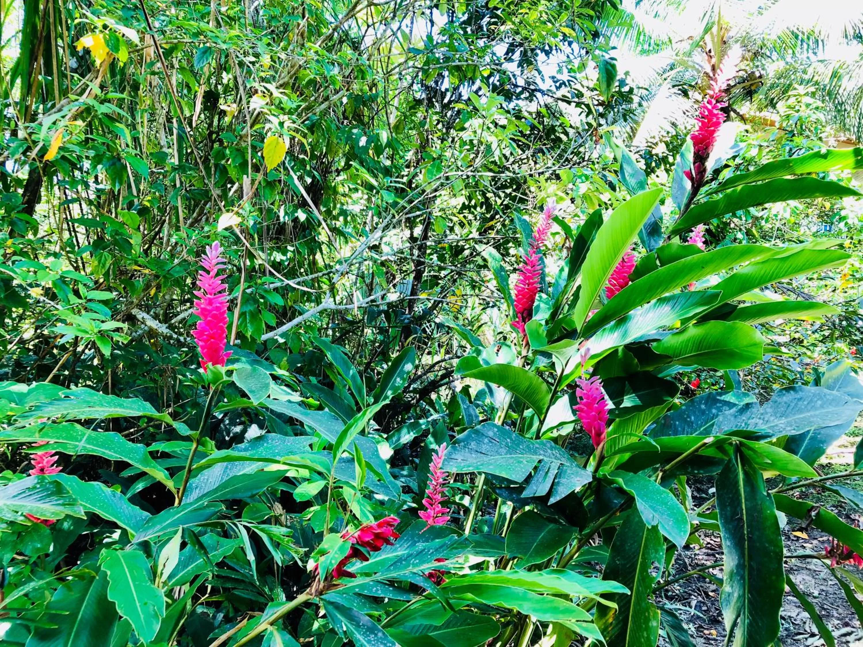 Natural landscape, Garden in Casa Oceana Bed & Breakfast