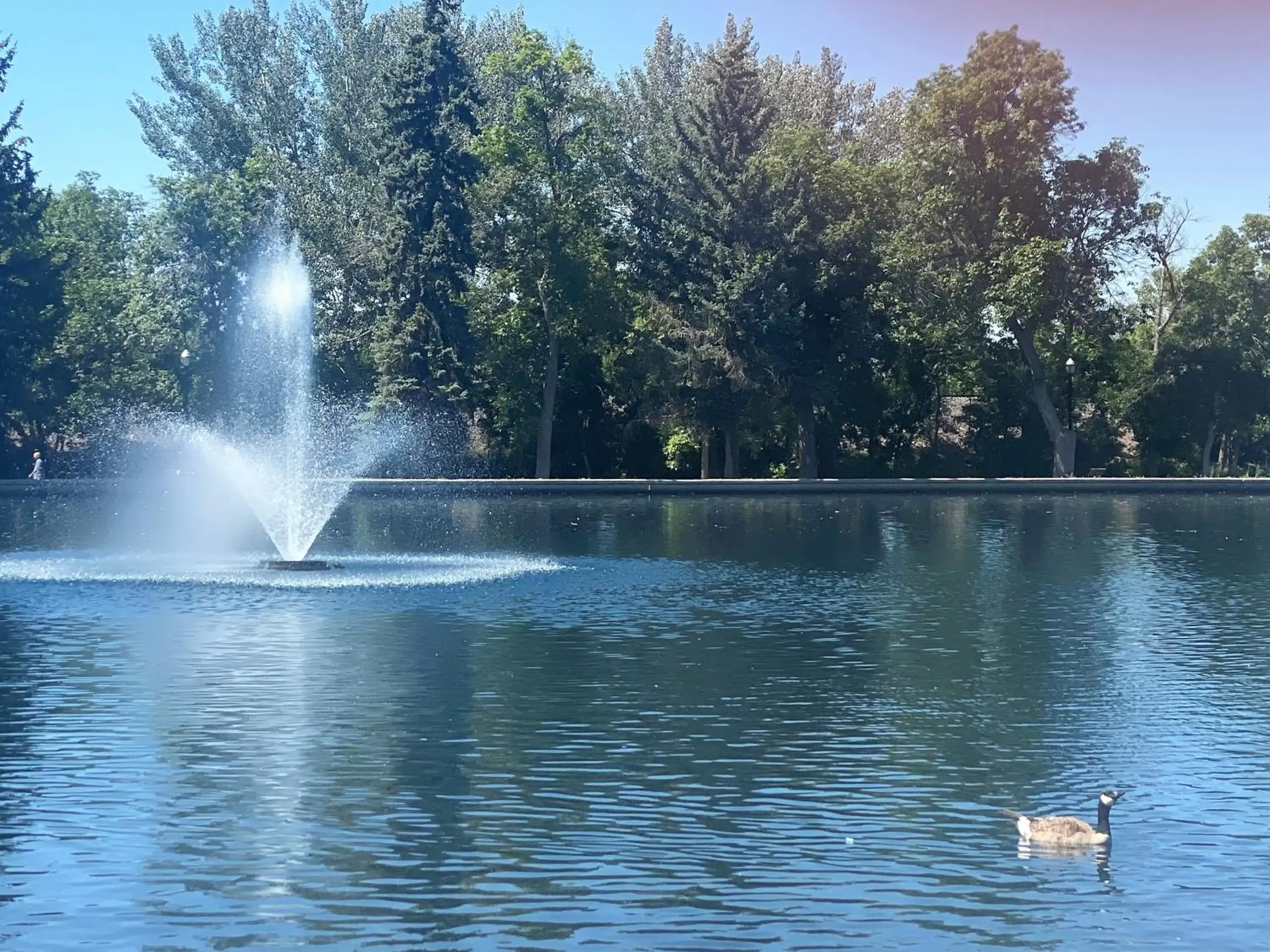 Nearby landmark, Swimming Pool in Staybridge Suites Great Falls, an IHG Hotel