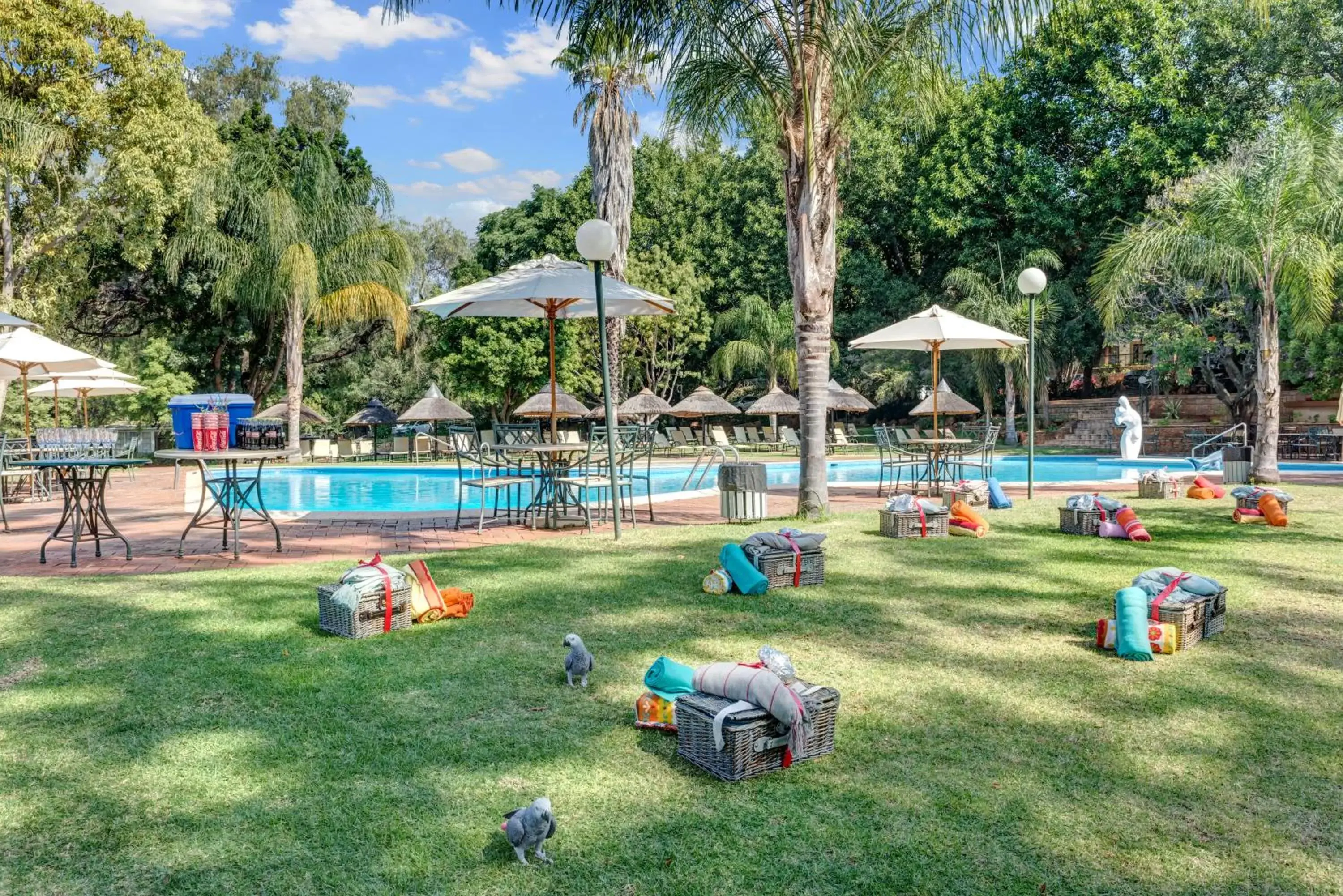 Activities, Swimming Pool in ANEW Resort Hunters Rest Rustenburg