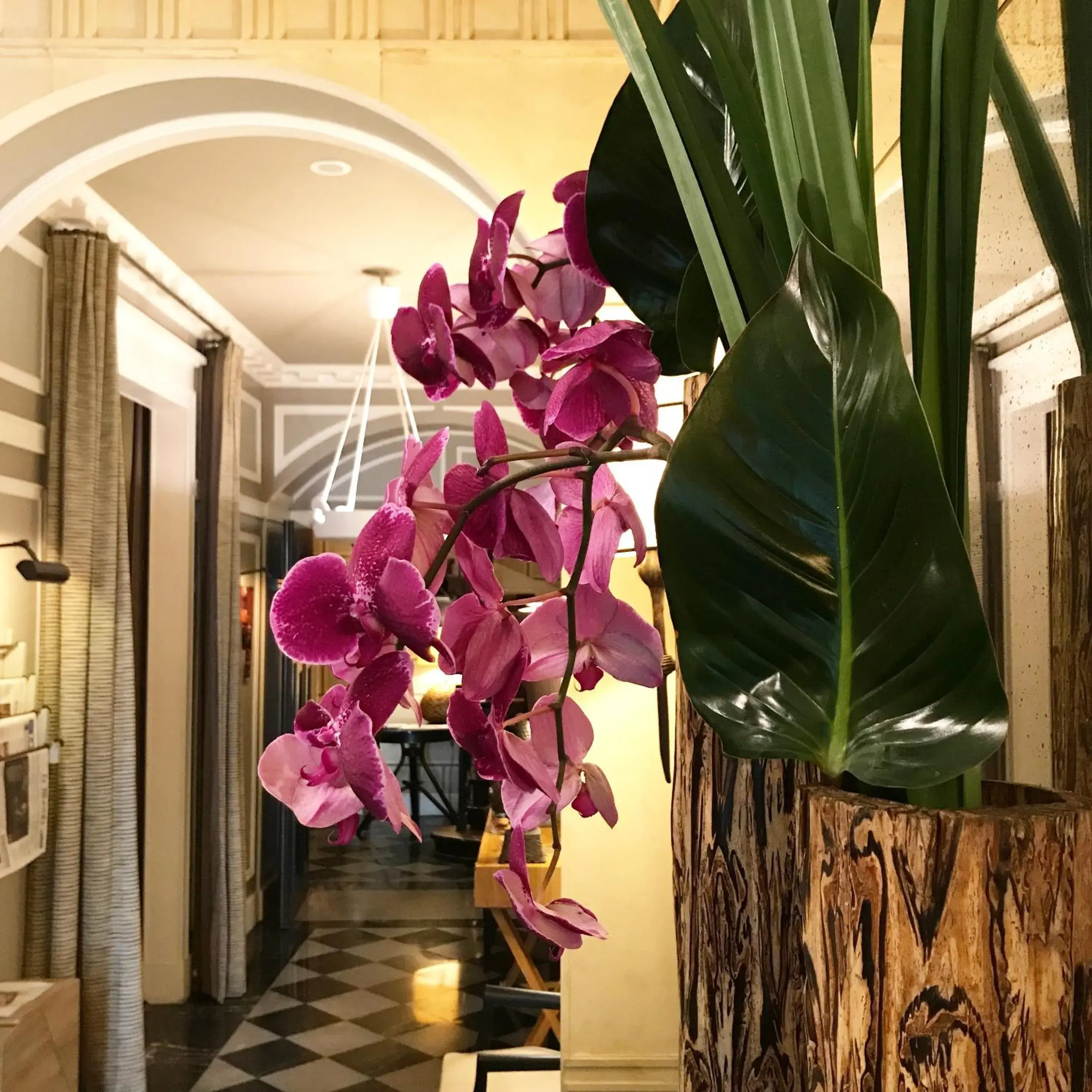 Lobby or reception in Hôtel Recamier