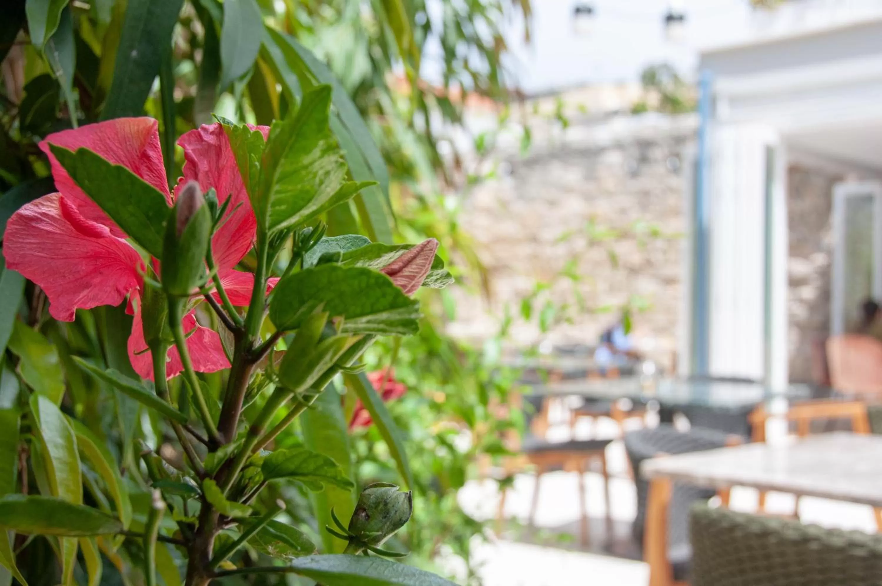 Restaurant/places to eat in S Paul City Hotel