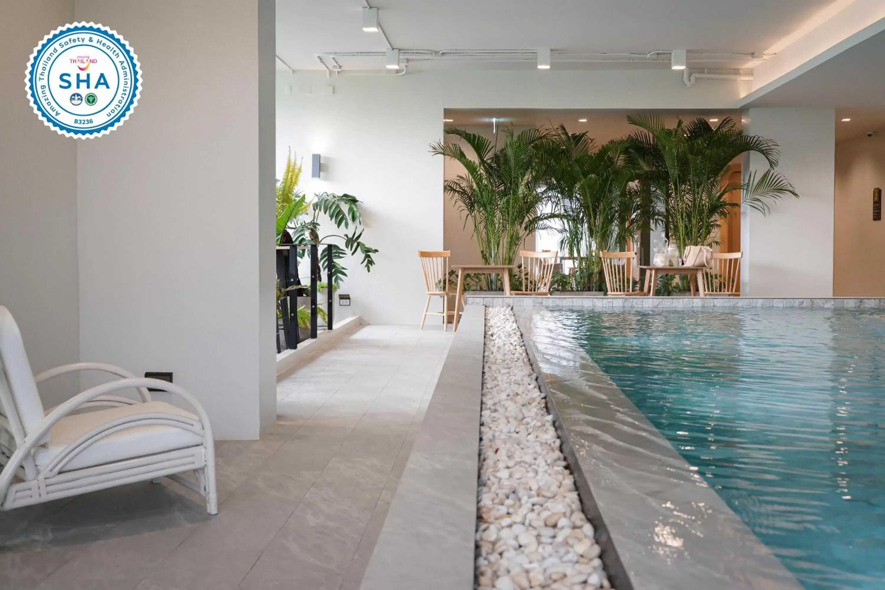 Swimming pool in The Rise Suites- SHA Extra Plus