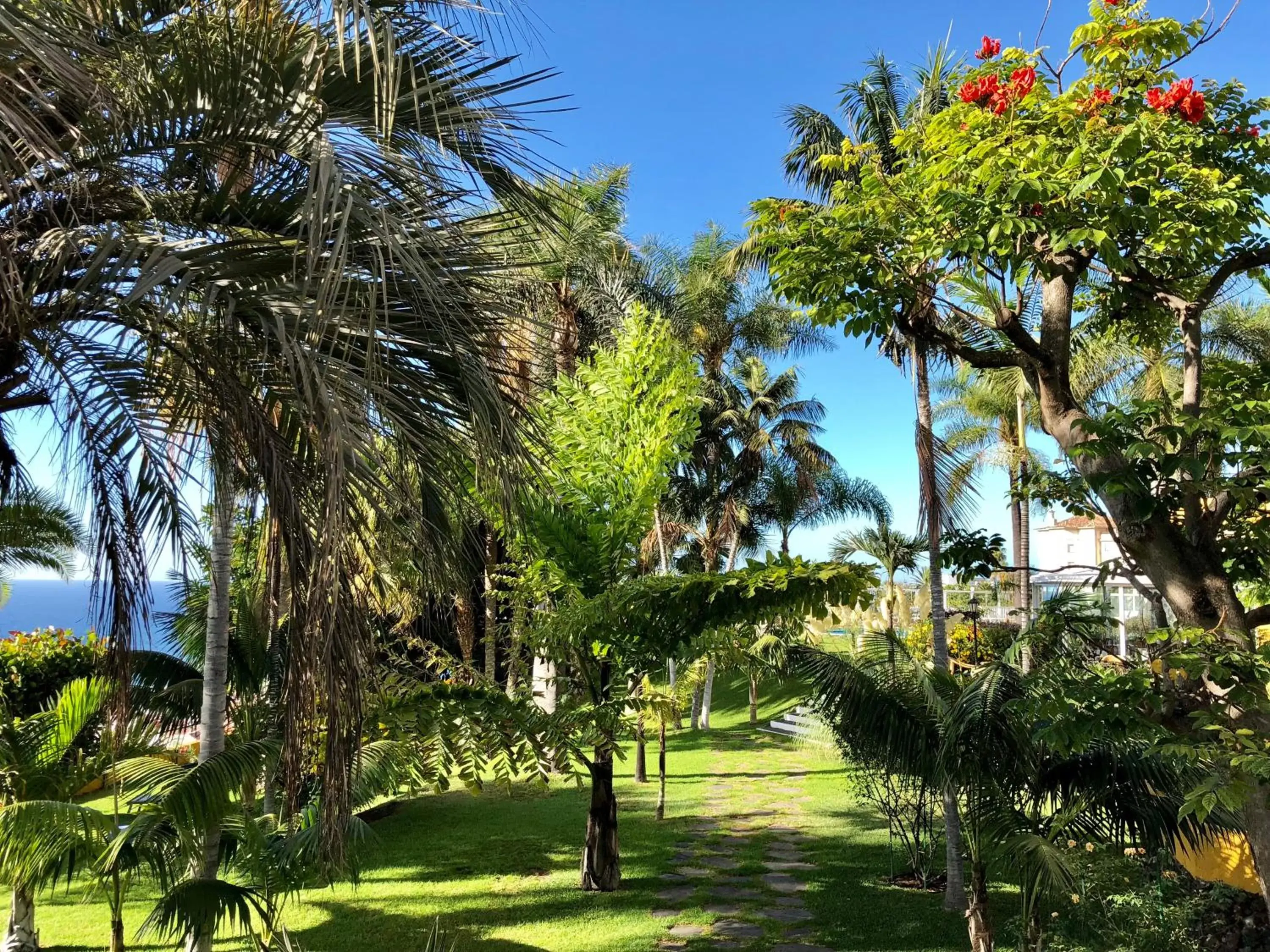 Garden in Hotel Tigaiga
