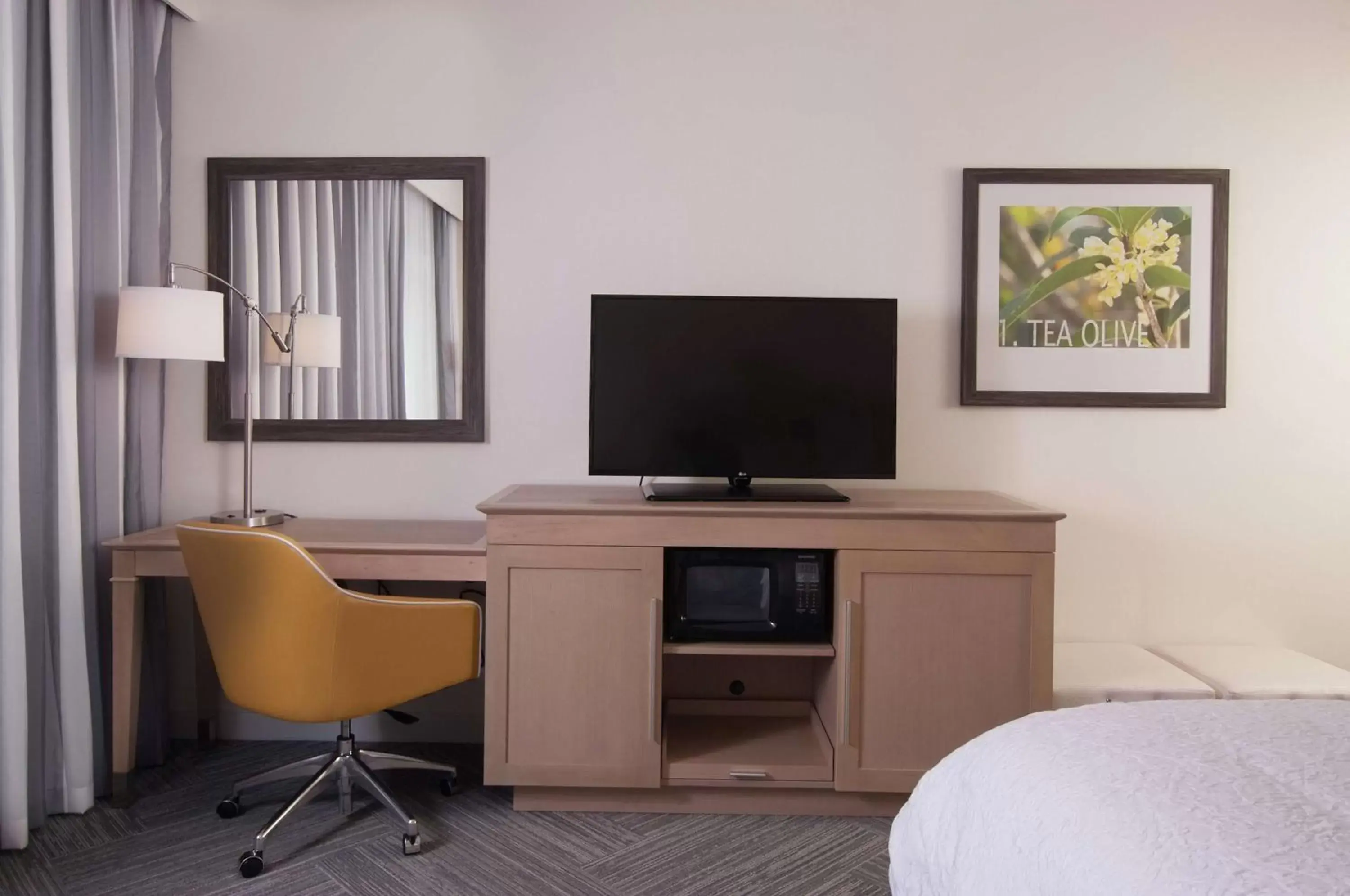 Bed, TV/Entertainment Center in Hampton Inn & Suites by Hilton Augusta-Washington Rd