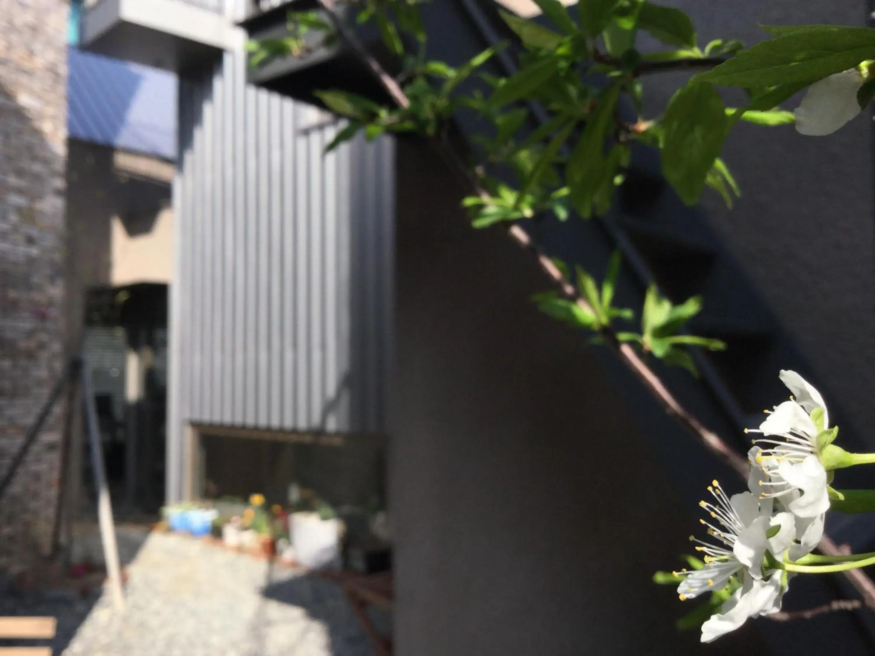 Garden, Patio/Outdoor Area in Inside Busan Hostel