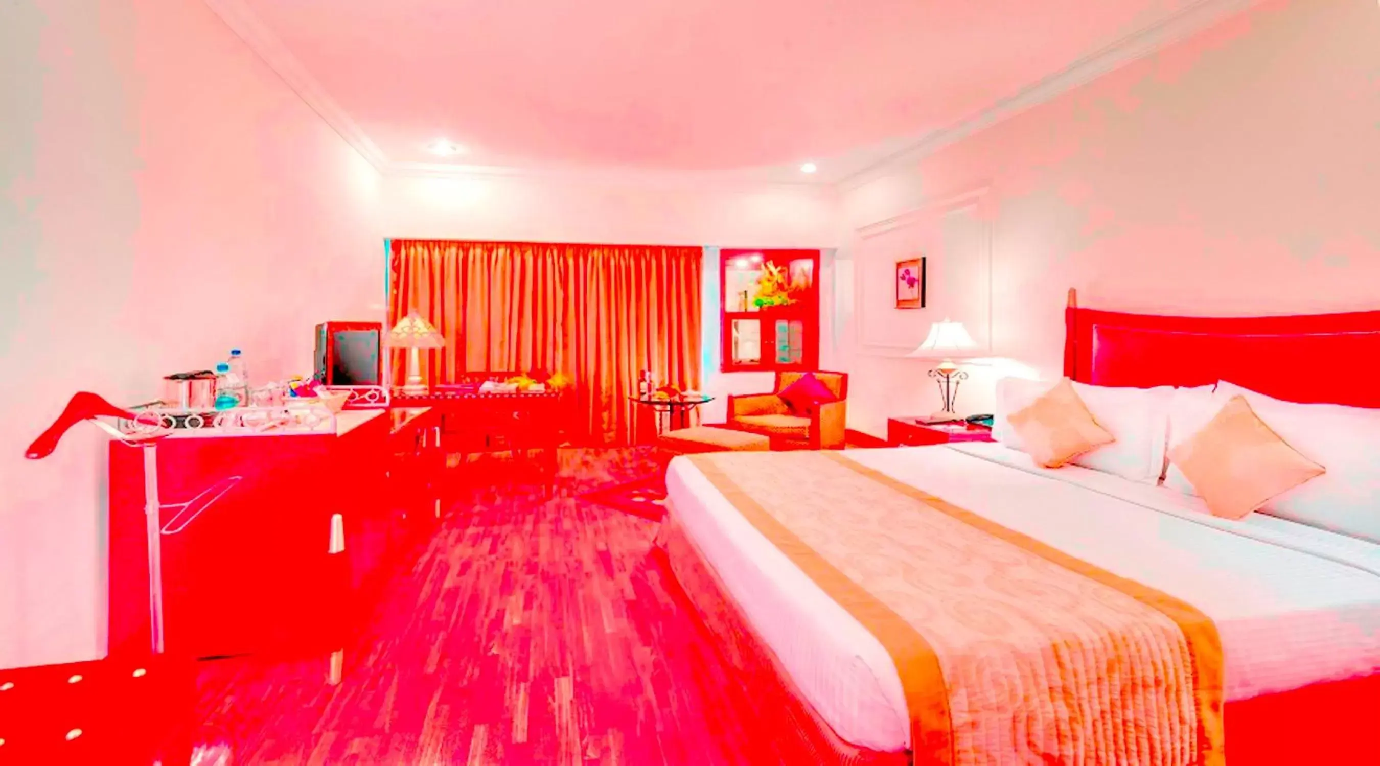 Photo of the whole room in Hotel Hindustan International