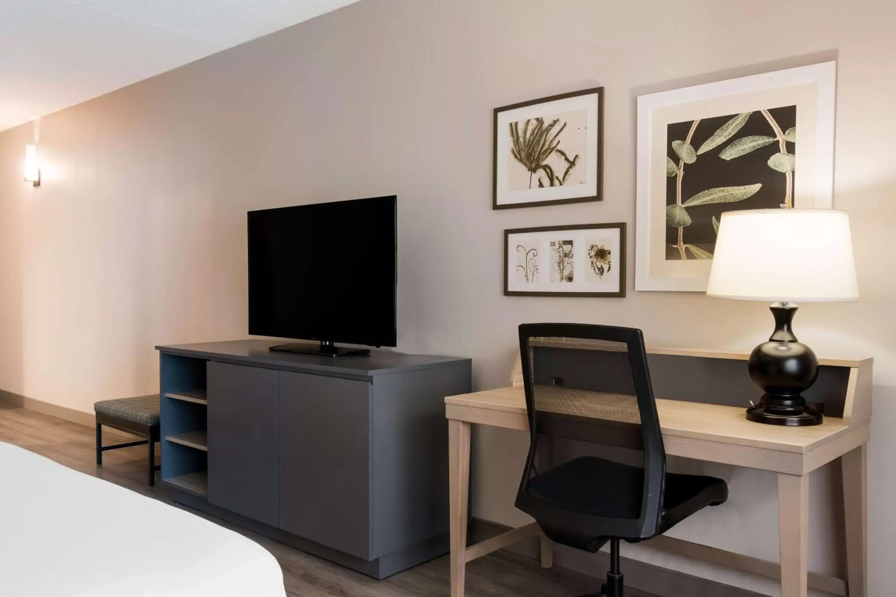 Bedroom, TV/Entertainment Center in Country Inn & Suites by Radisson, Harrisburg Northeast (Hershey), PA