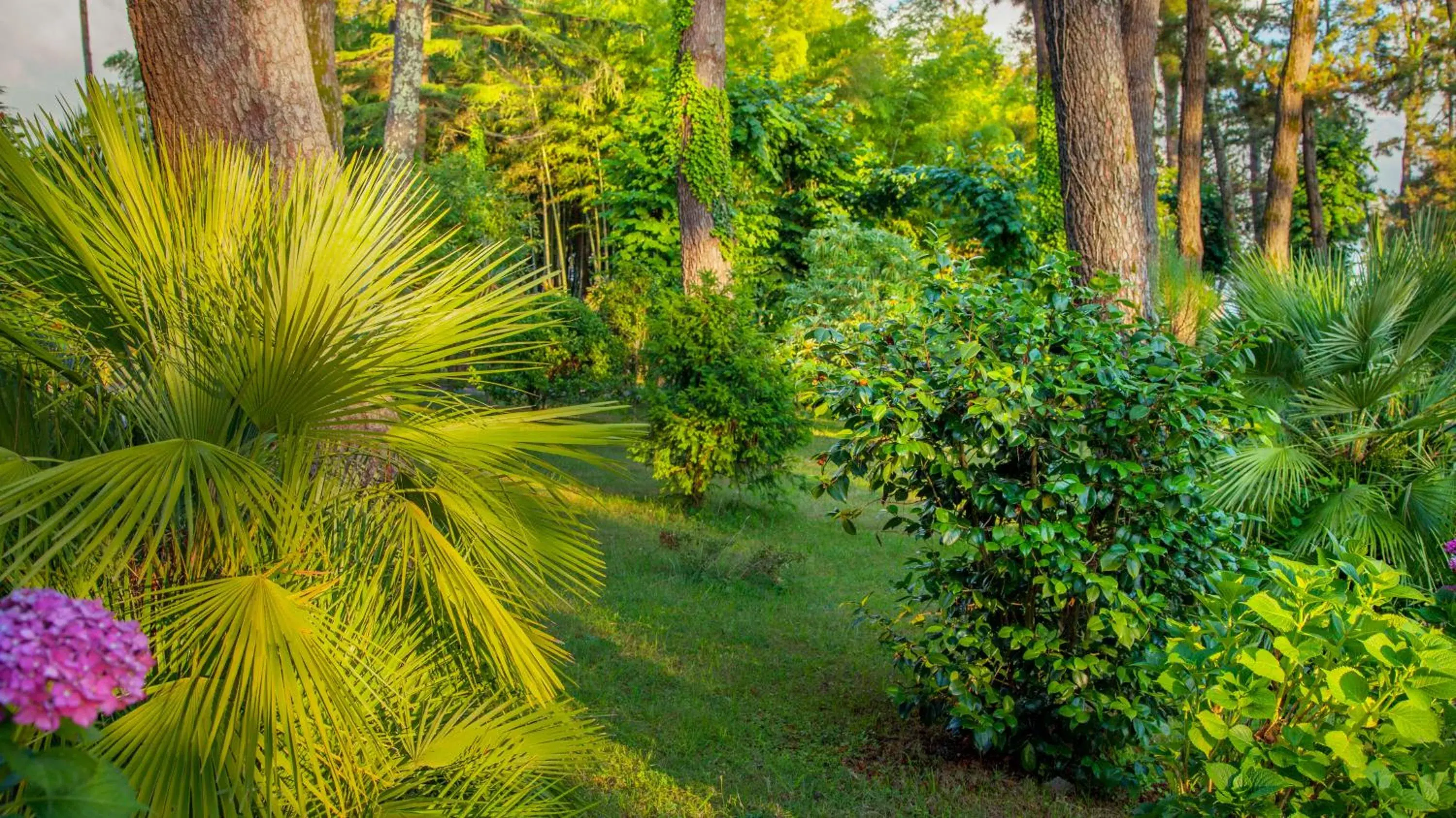 Natural landscape, Garden in Kobuleti Georgia Palace Hotel & Spa