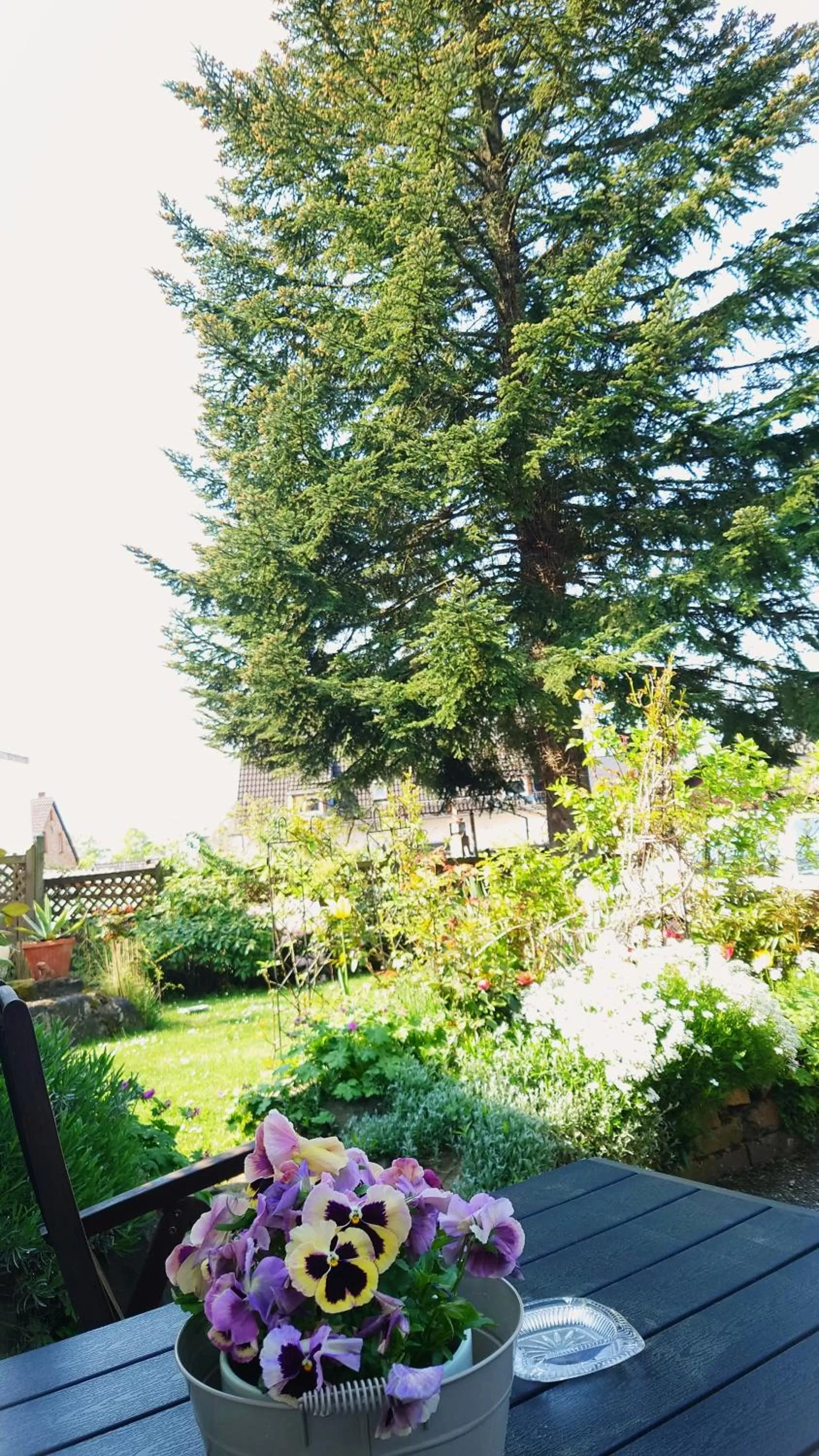 Garden in Hotel Garni Zur Traube