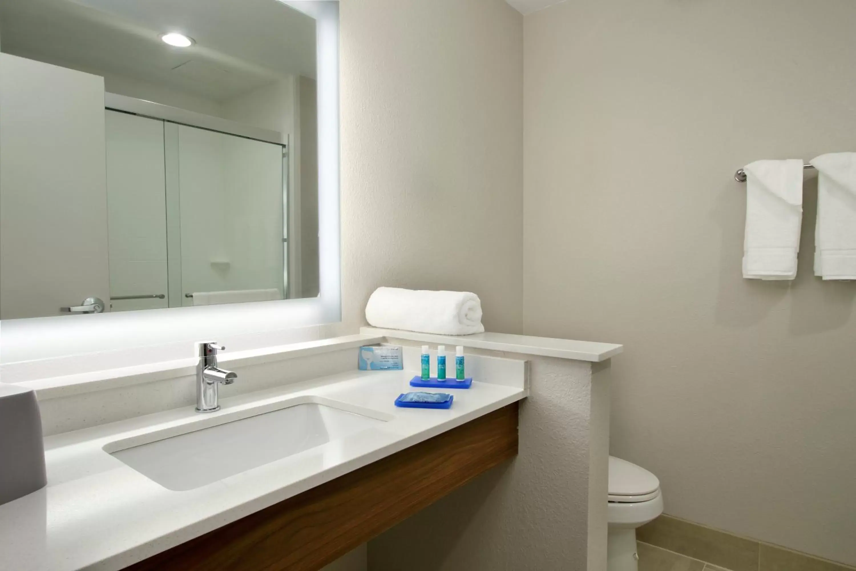 Bathroom in Holiday Inn Express & Suites - Columbus North, an IHG Hotel