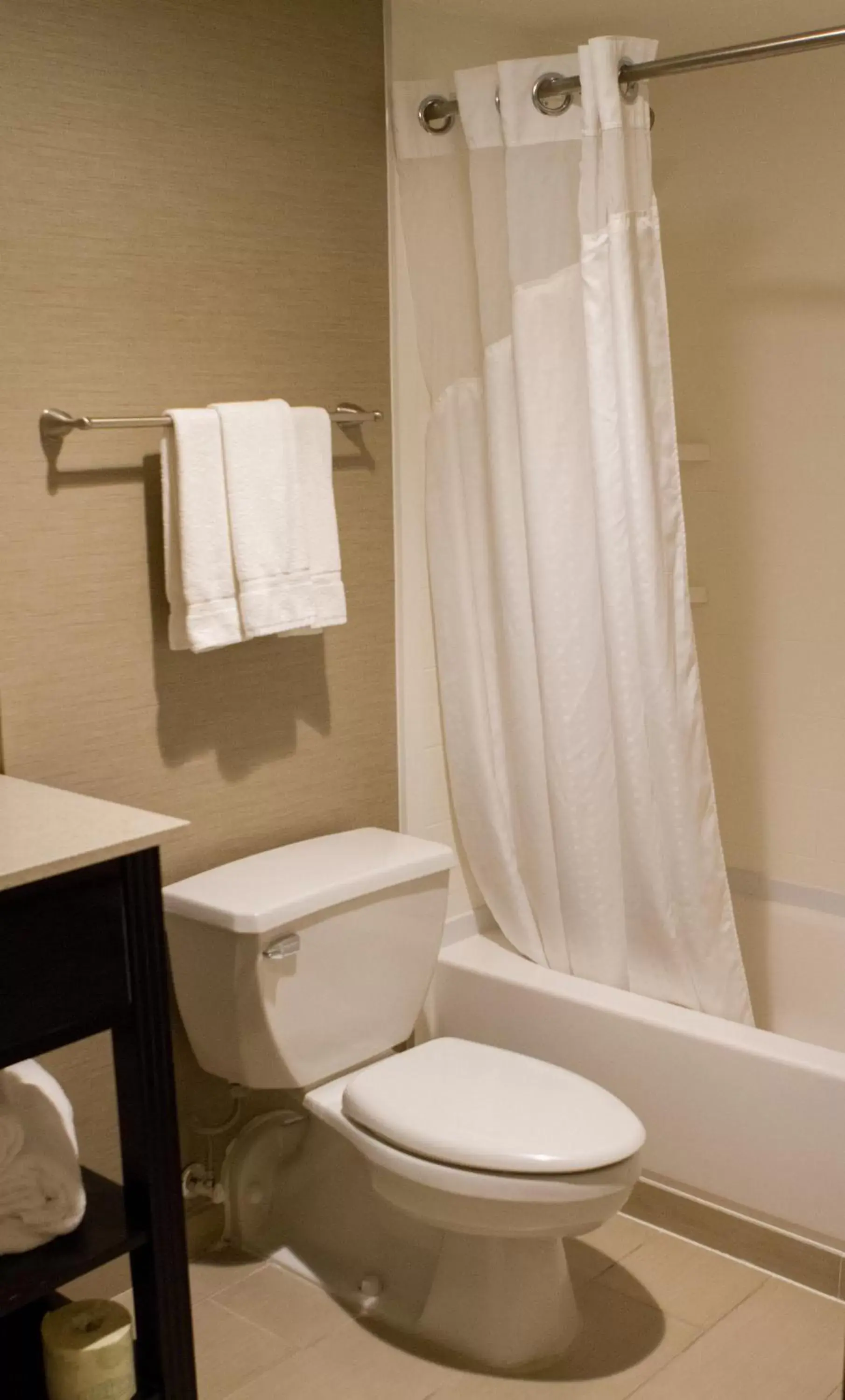 Bathroom in Holiday Inn Express & Suites San Antonio Medical Center North, an IHG Hotel