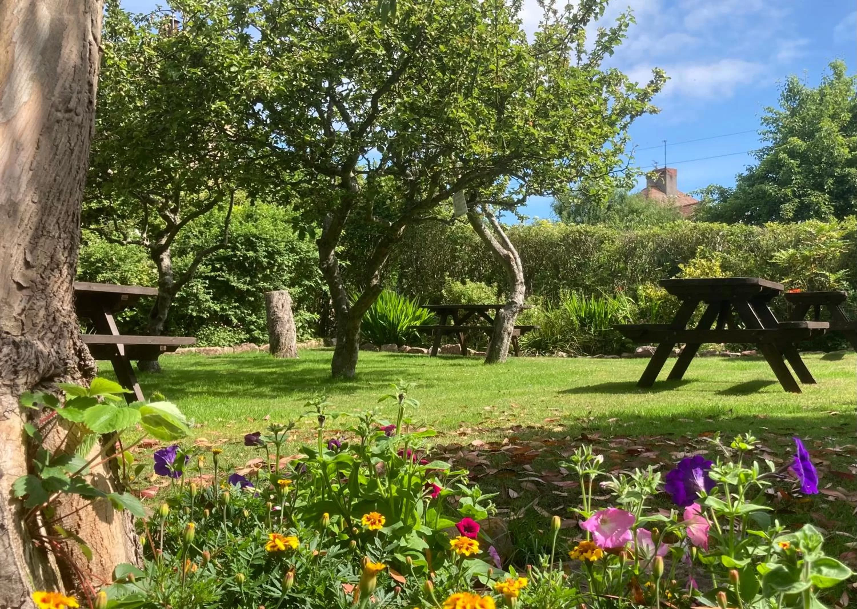 Garden in The Mallard Hotel