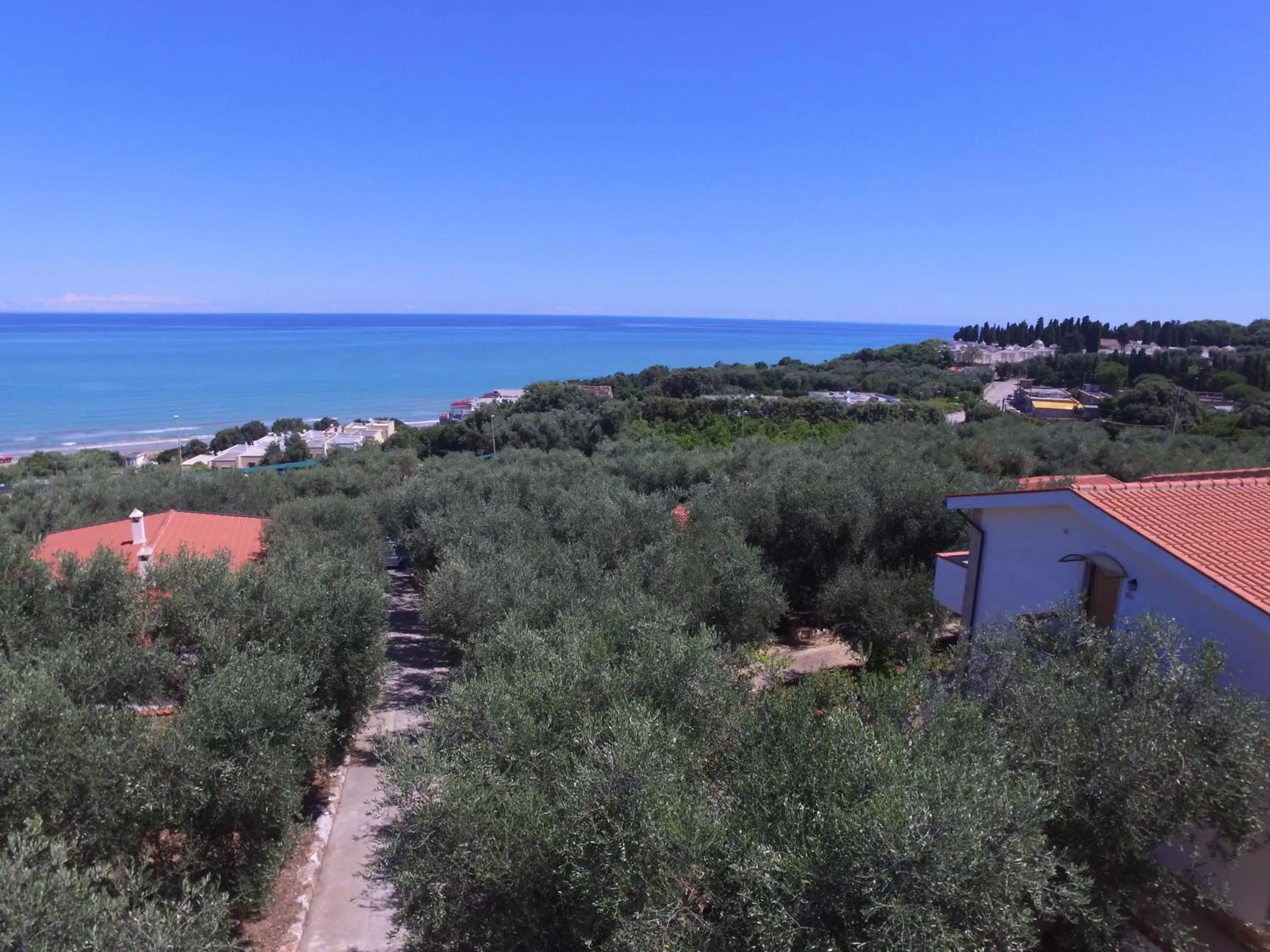 Garden view in Zagare Residence