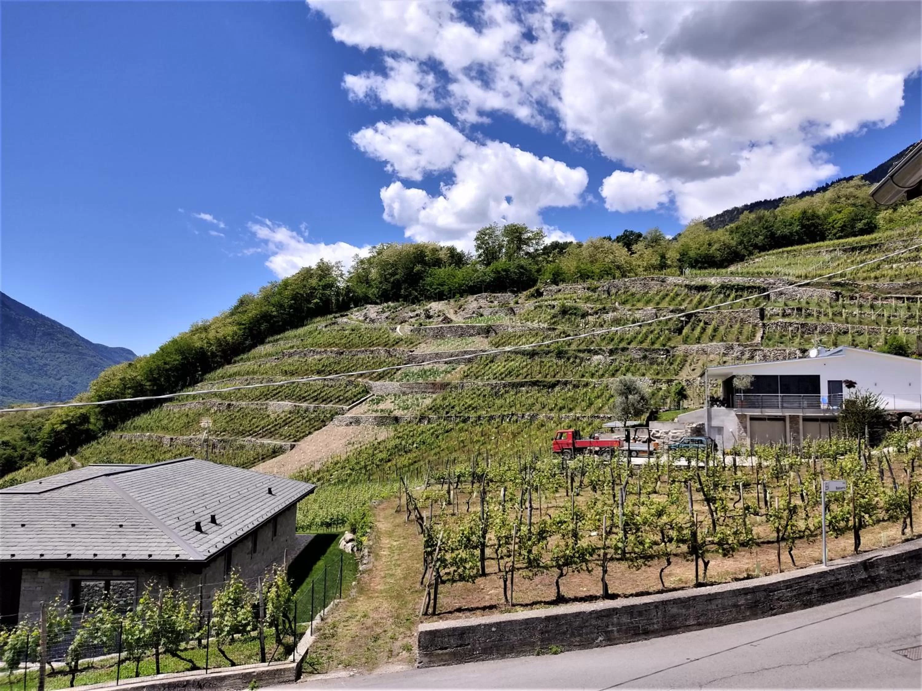 Neighbourhood in B&B Il Germoglio