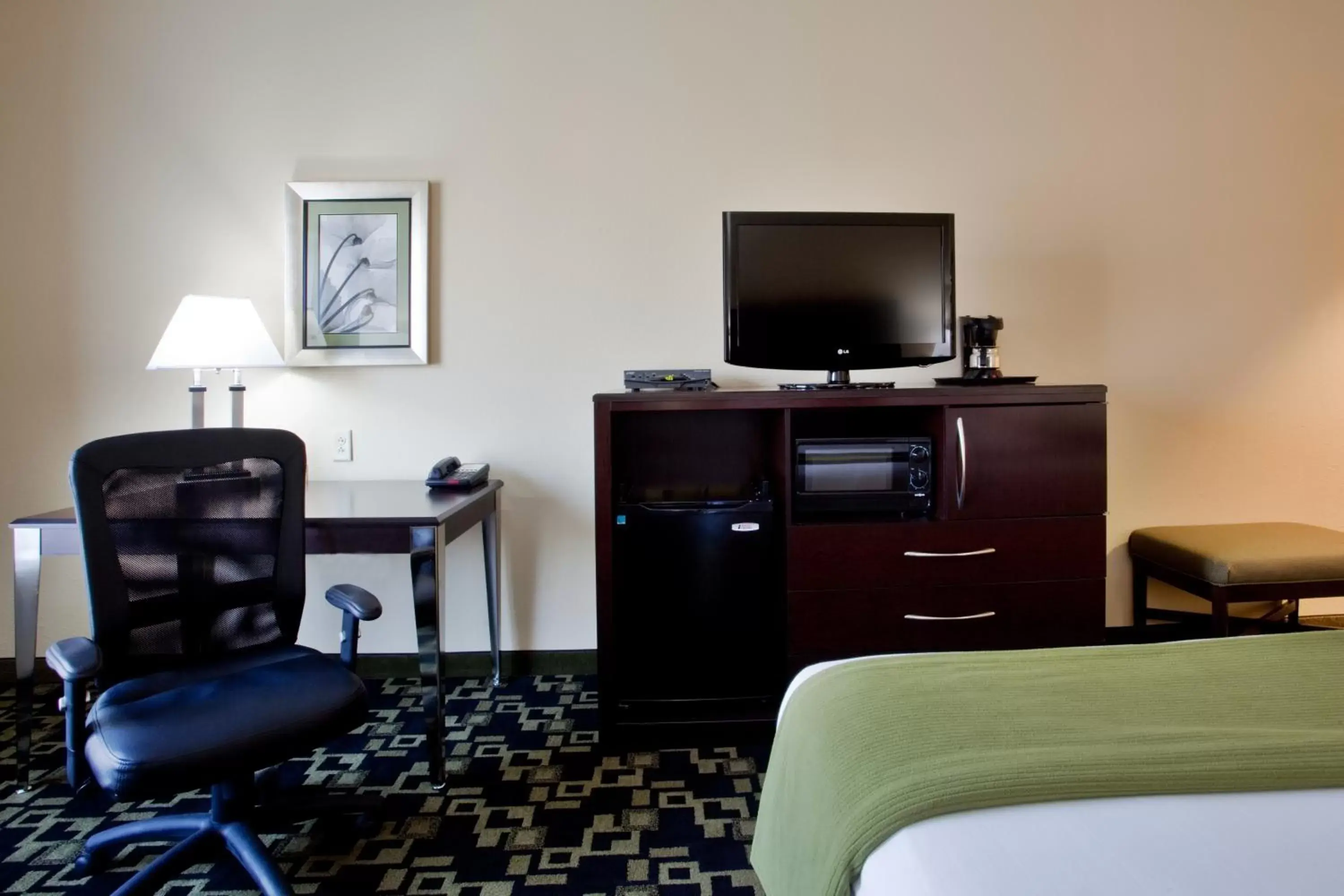 TV and multimedia, TV/Entertainment Center in Holiday Inn Express Hotel Raleigh Southwest, an IHG Hotel