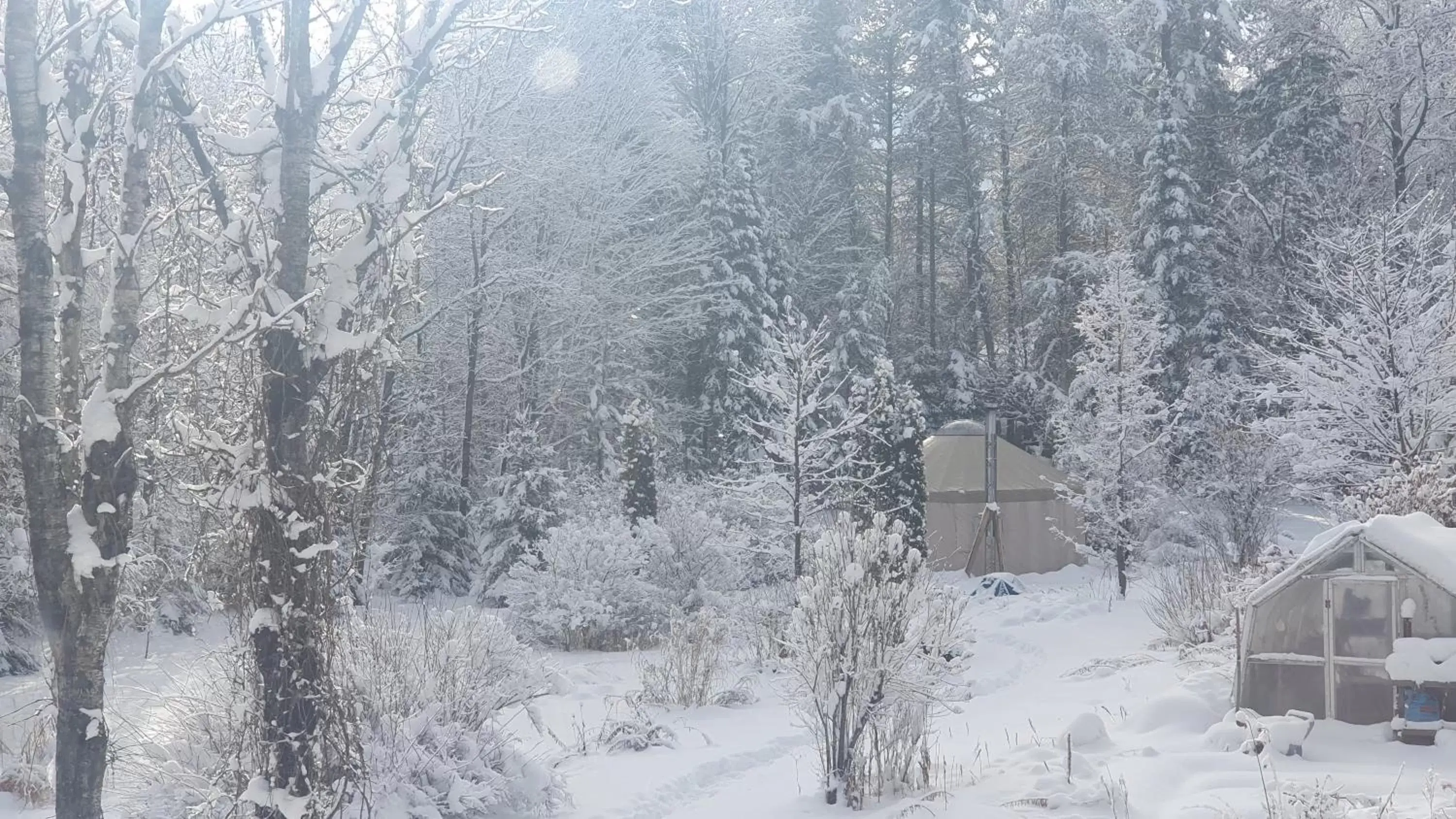 Natural landscape, Winter in Le Salon des Inconnus