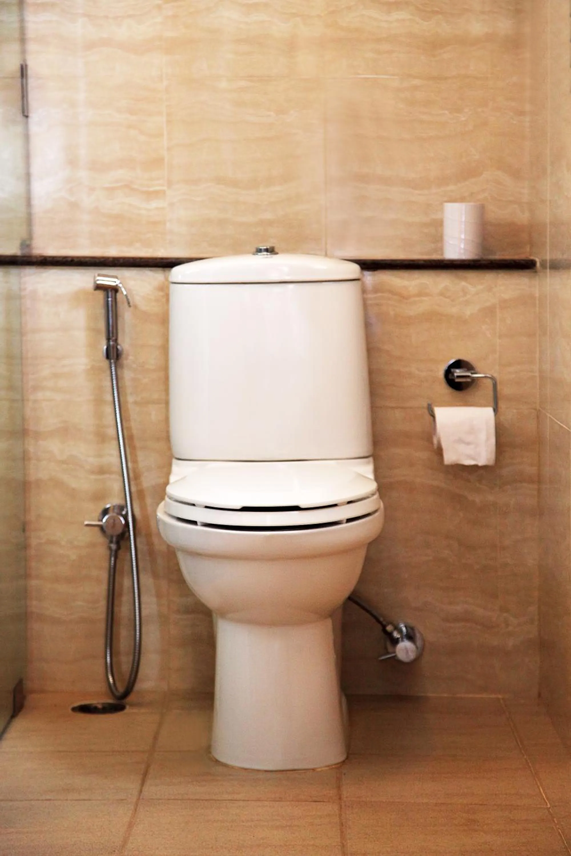 Toilet in The Hawaii Comforts Panjim Donapaula