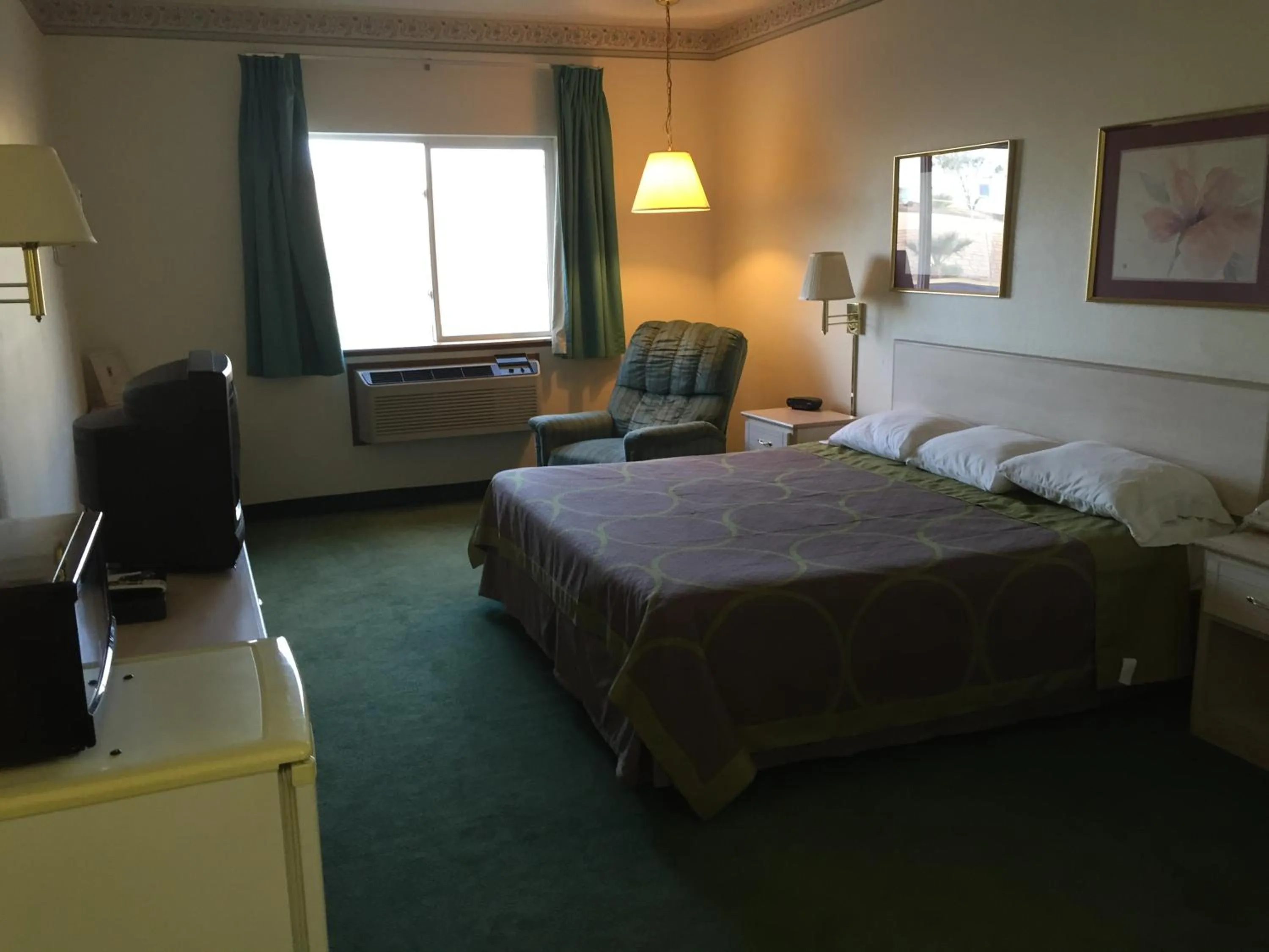 Bed in Super 8 by Wyndham Willcox