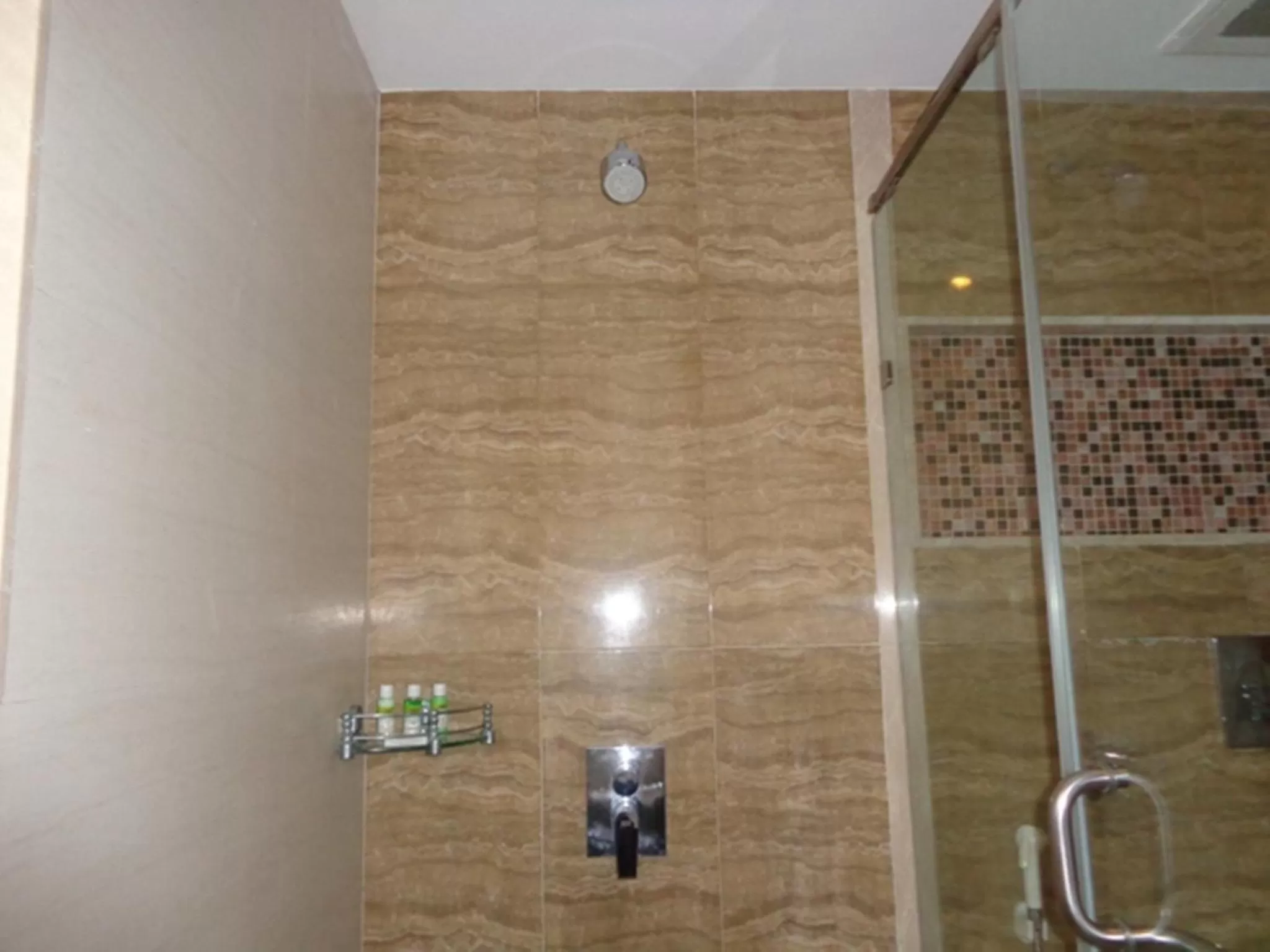 Shower in Ramada Ahmedabad