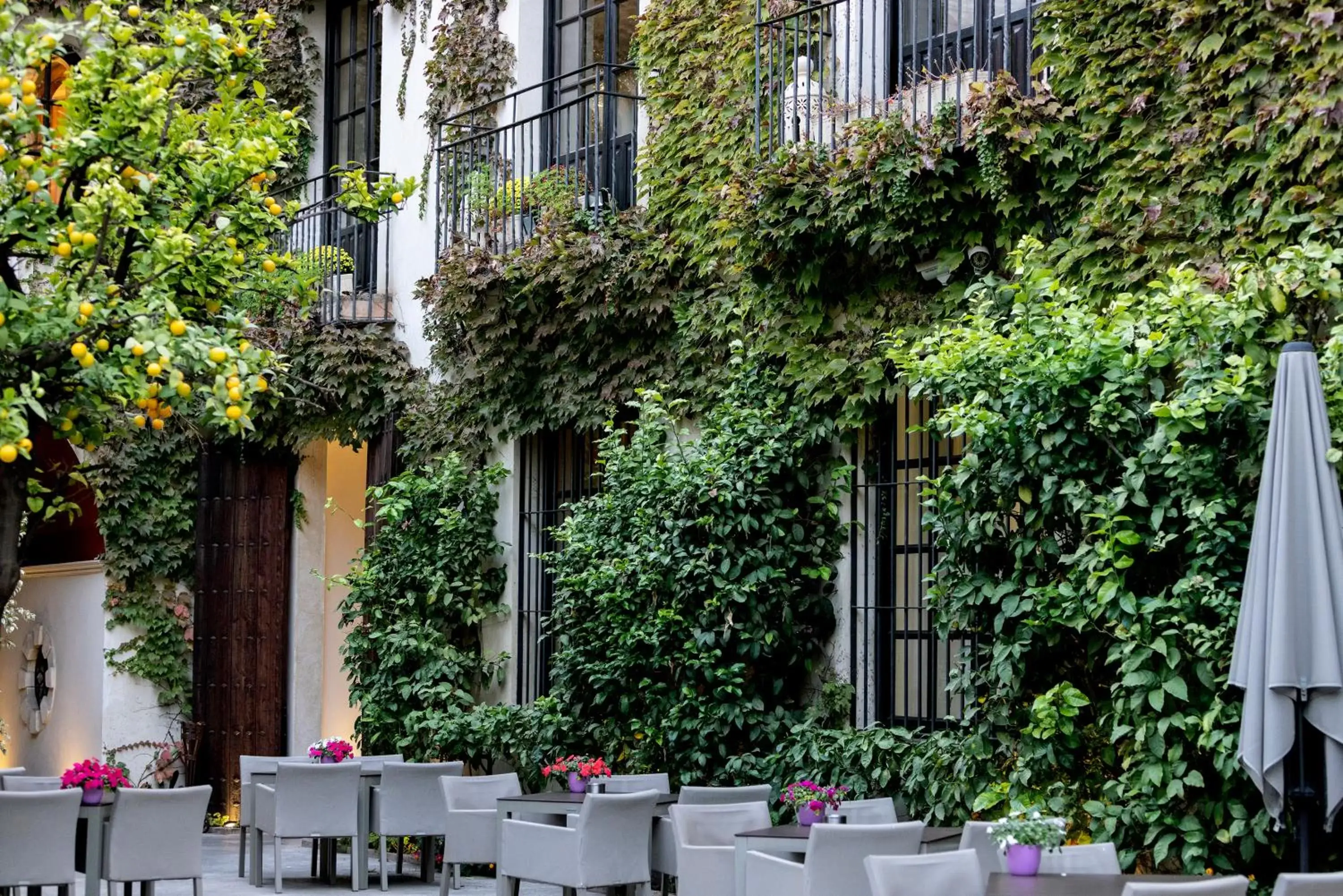 Inner courtyard view, Restaurant/Places to Eat in Hospes Palacio del Bailio