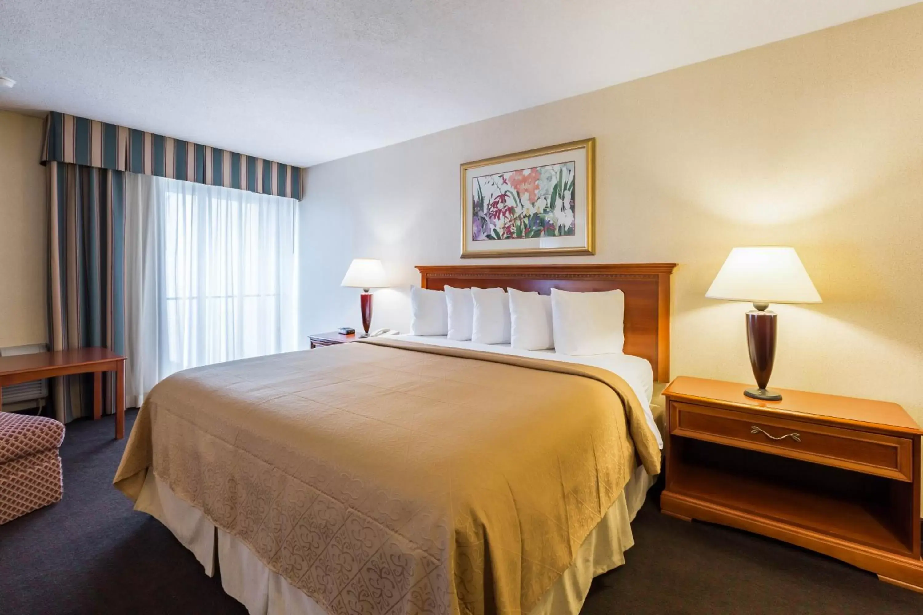 King Room with Sofa Bed - Non-Smoking in Quality Inn and Conference Center I-80 Grand Island