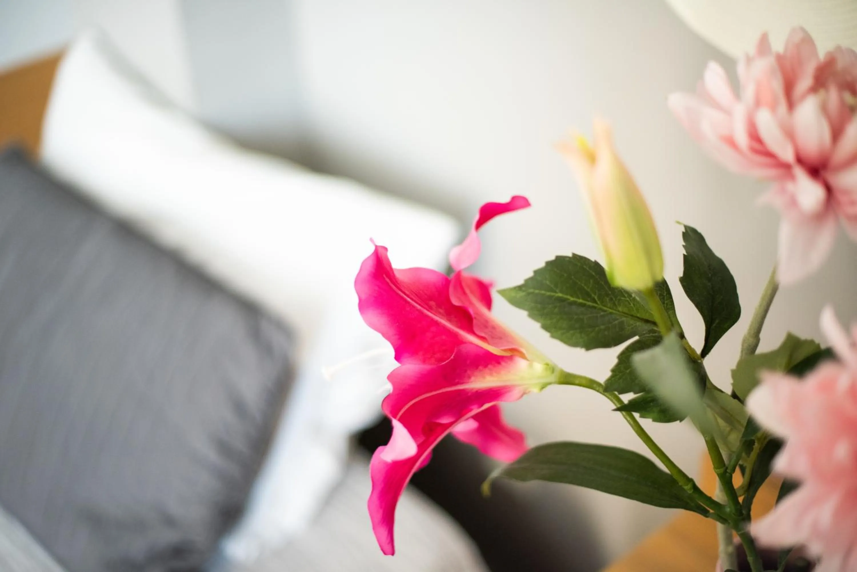 Decorative detail, Bed in Myrto Hotel