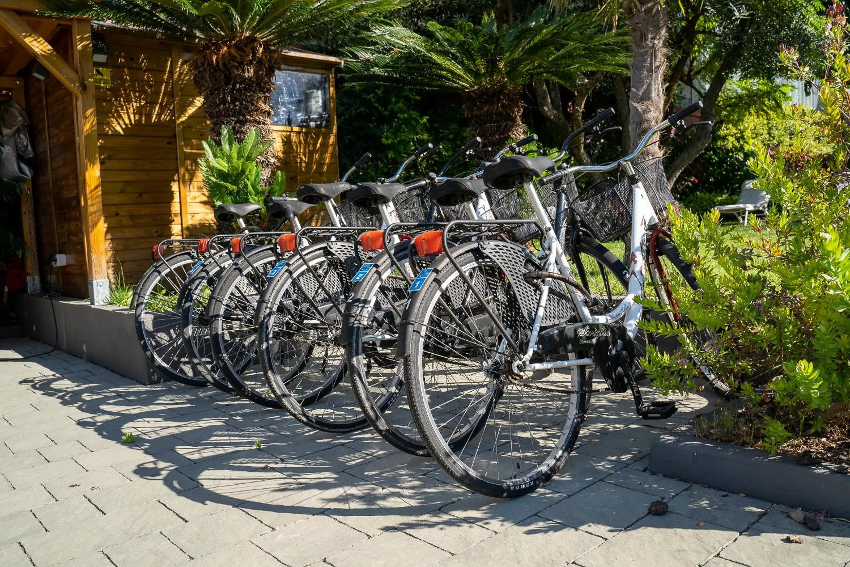 Cycling, Other Activities in Blu Hotel