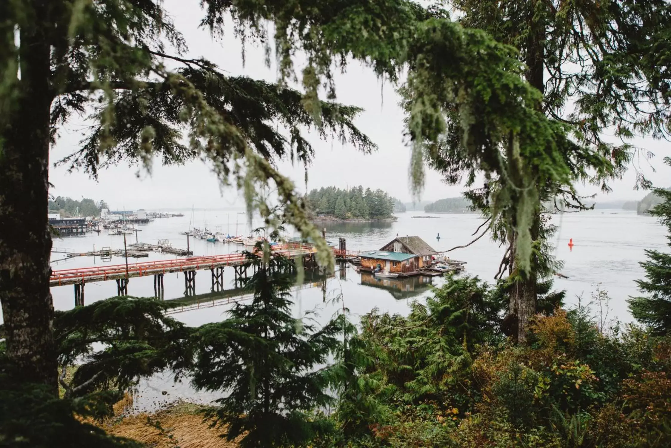 View (from property/room) in The Shoreline Tofino