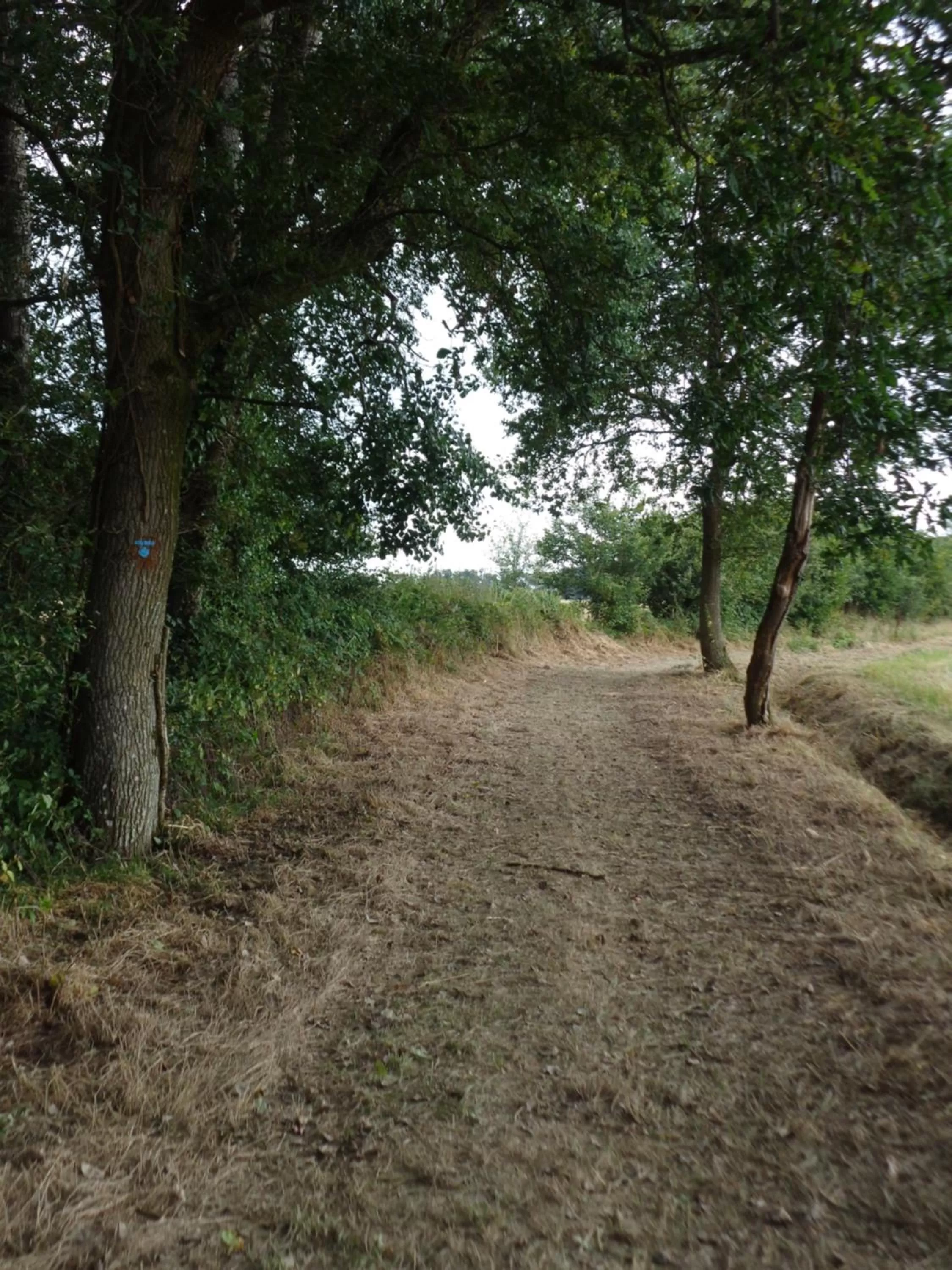 Chambres d'Hôtes Domaine du Bois-Basset