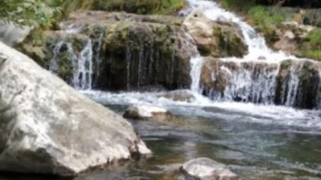 Natural Landscape in La Villa Du Menhir