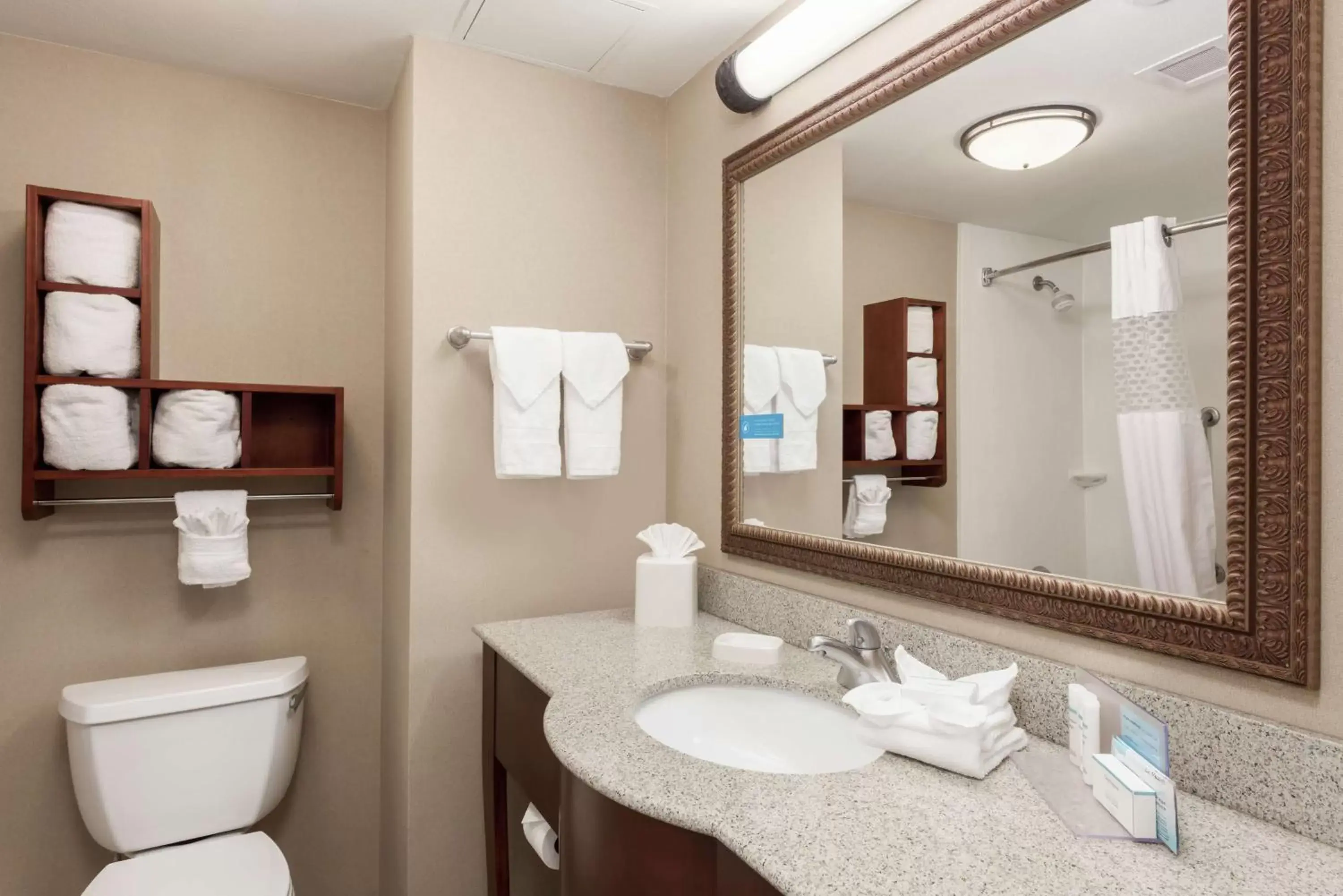 Bathroom in Hampton Inn Branson - Branson Hills