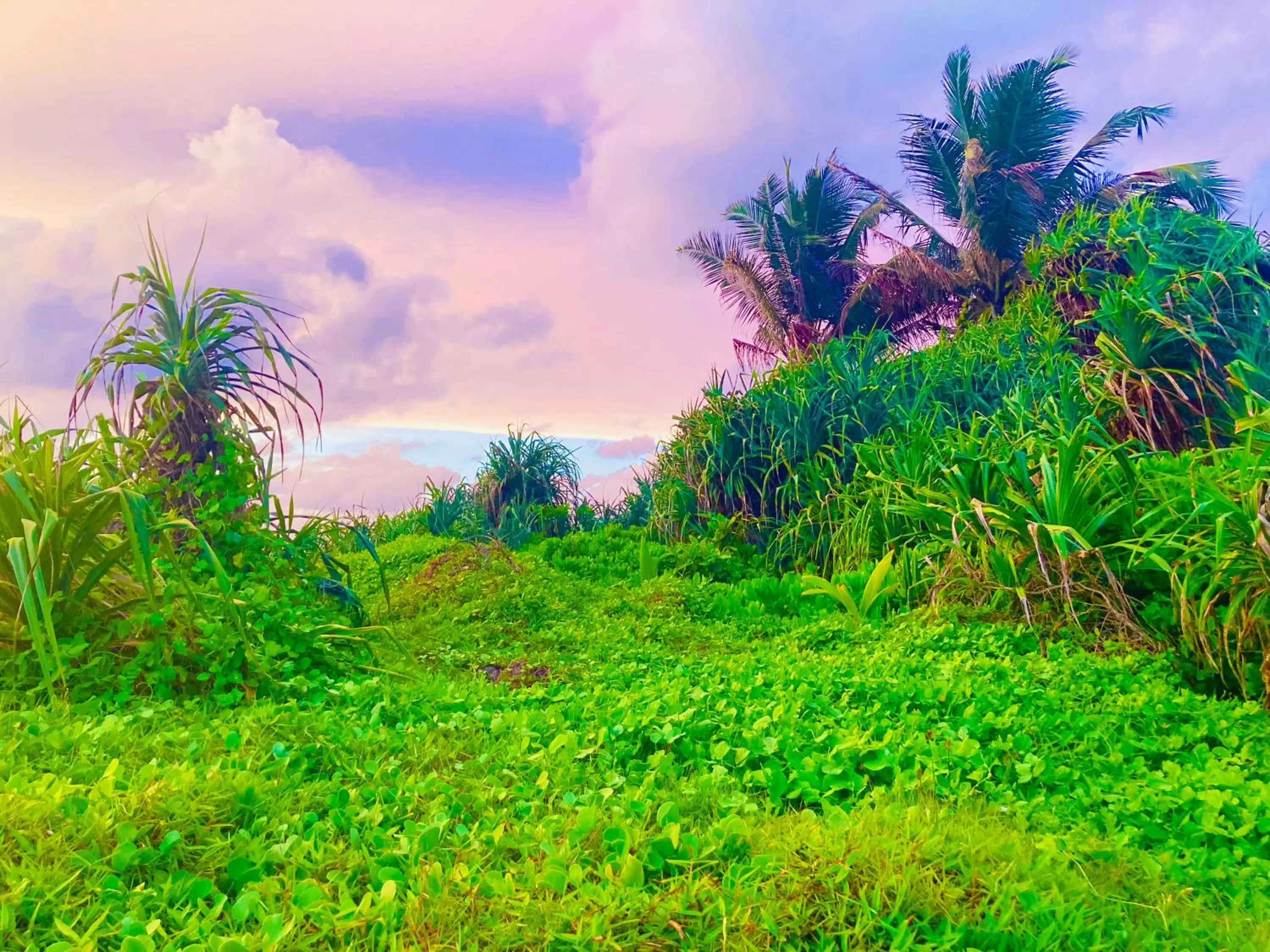 Natural Landscape in Manel Villa