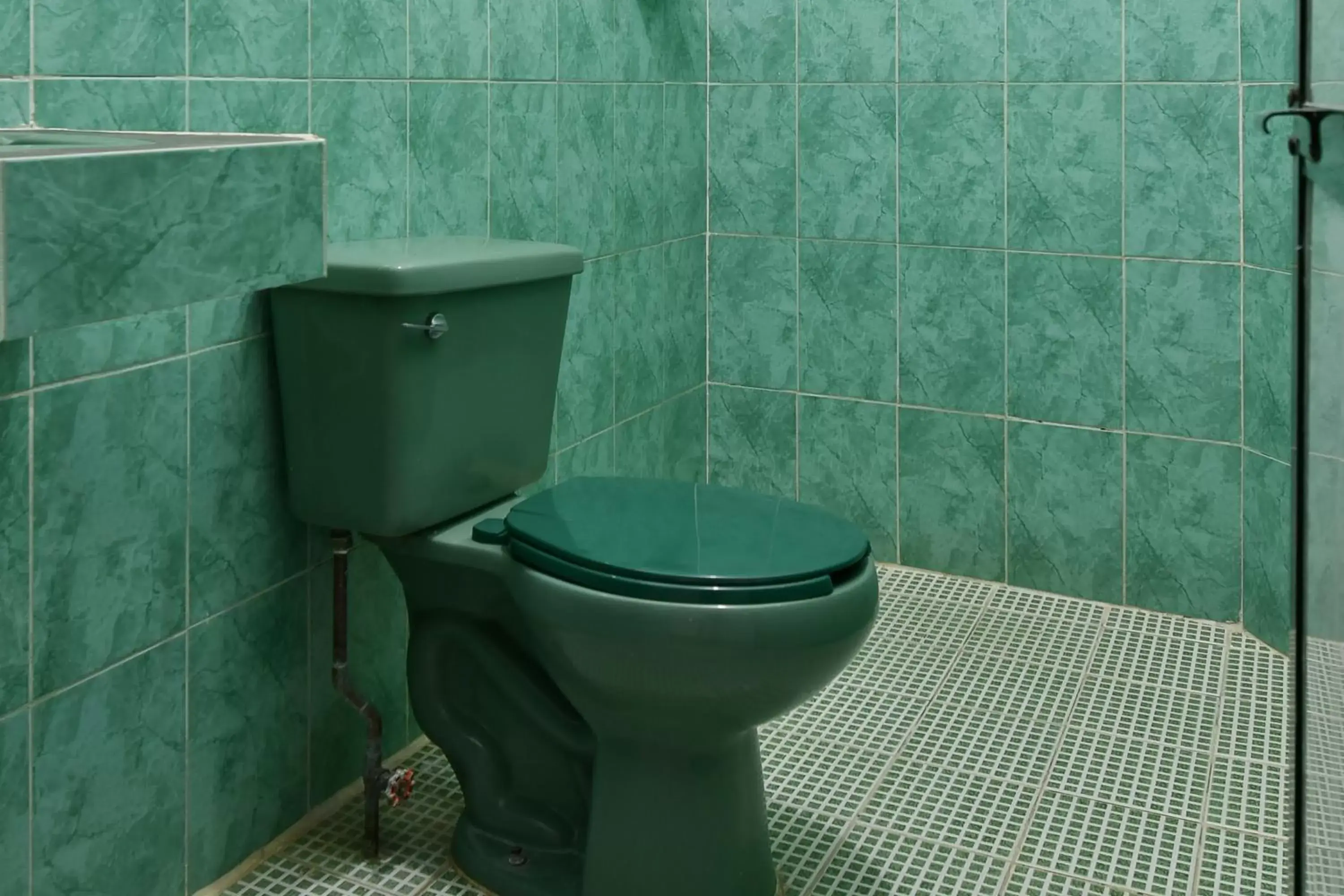 Toilet, Bathroom in Hotel Costamar, Puerto Escondido