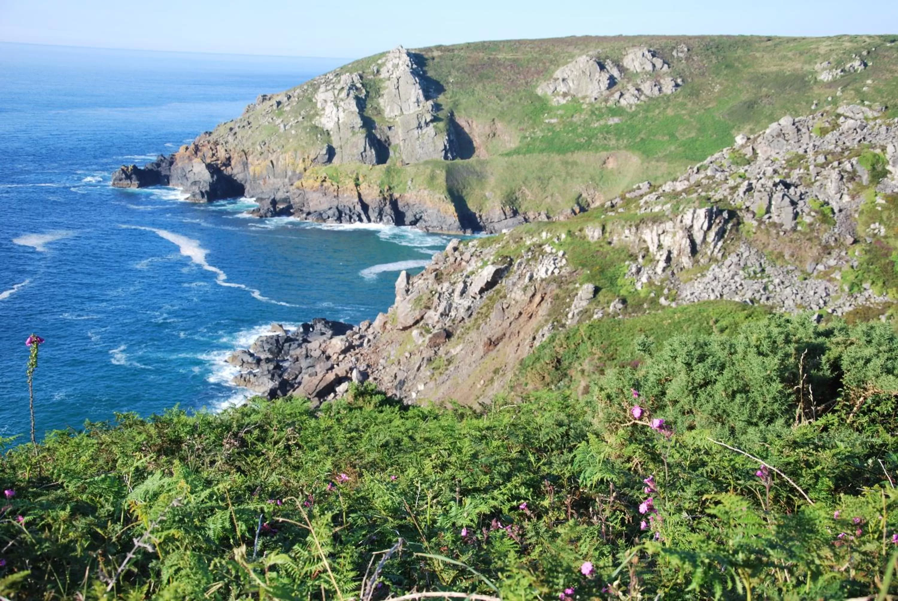 Area and facilities in The Western